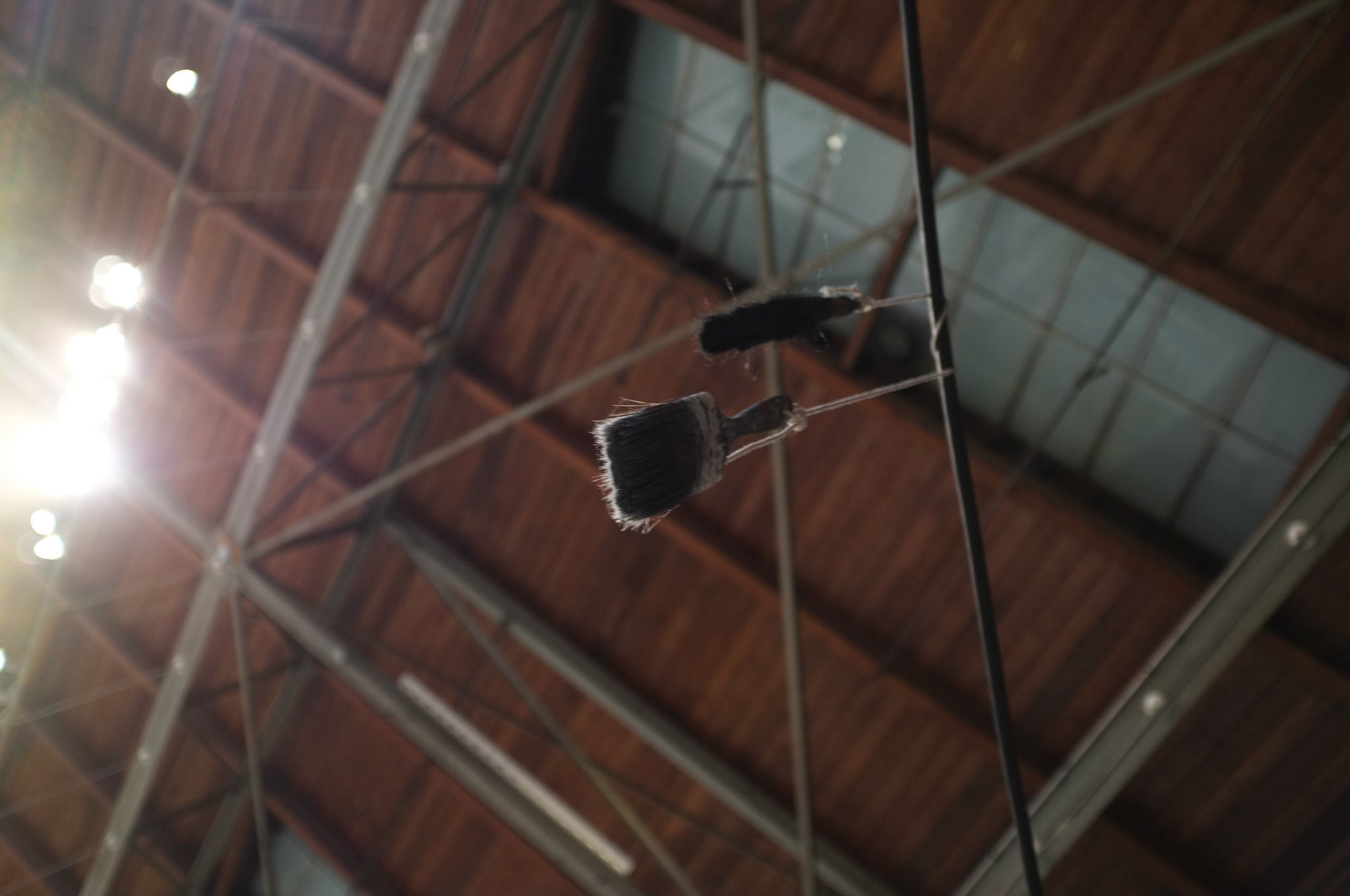 (Oba) Ohkba Ameziane-Hassani 2016 © obafkps@gmail.com ©  www.oba-photo.com