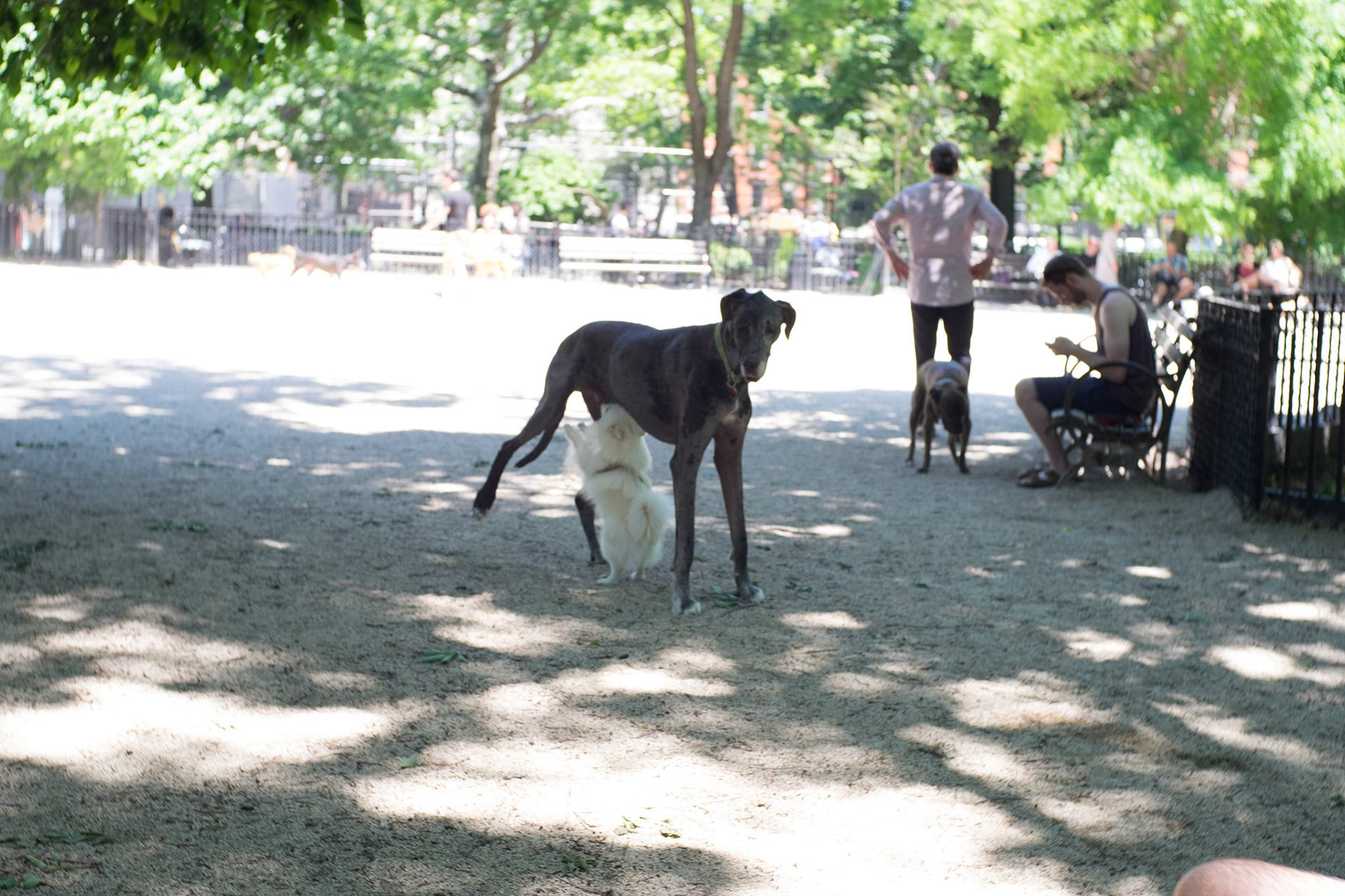 (Oba) Ohkba Ameziane-Hassani 2016 © obafkps@gmail.com ©  www.oba-photo.com