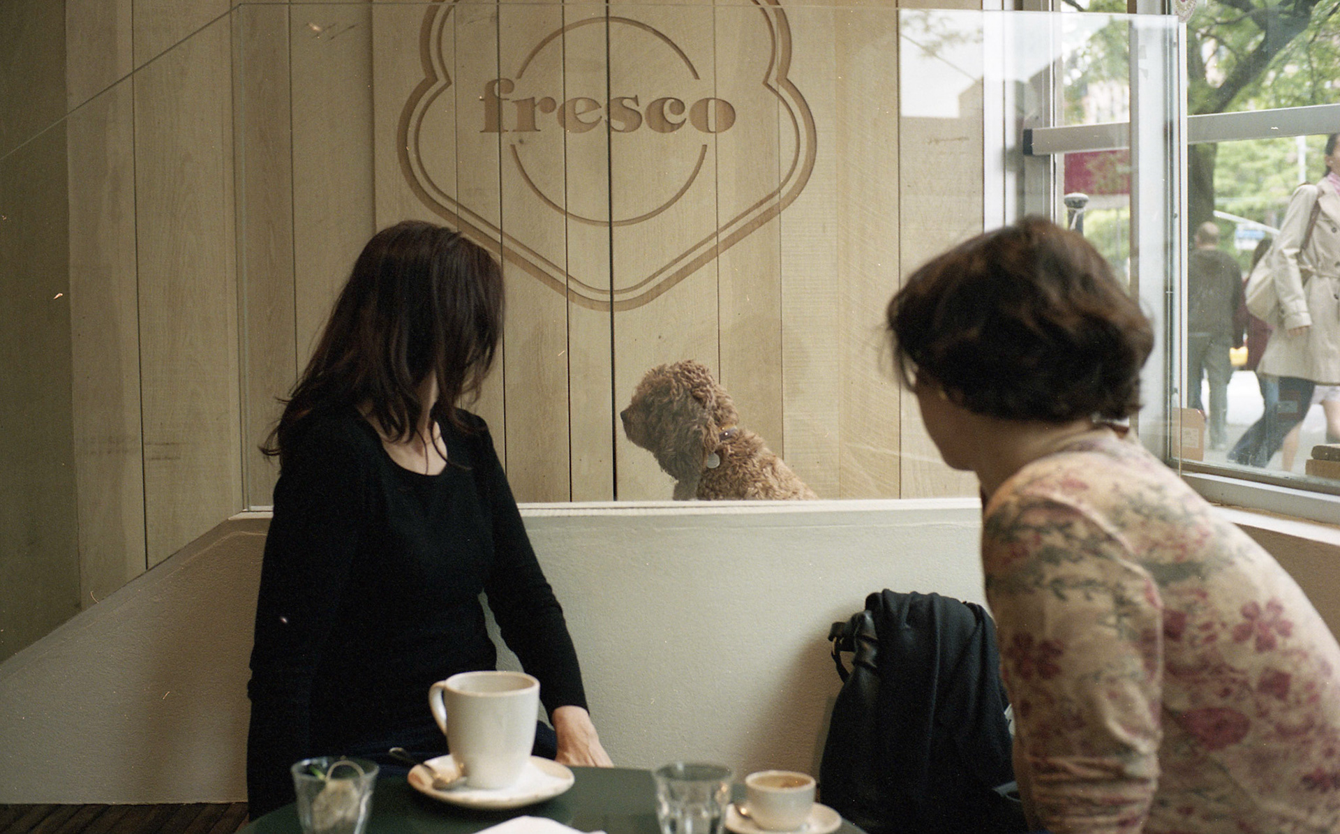 (Oba) Ohkba Ameziane-Hassani 2016 © obafkps@gmail.com ©  www.oba-photo.com