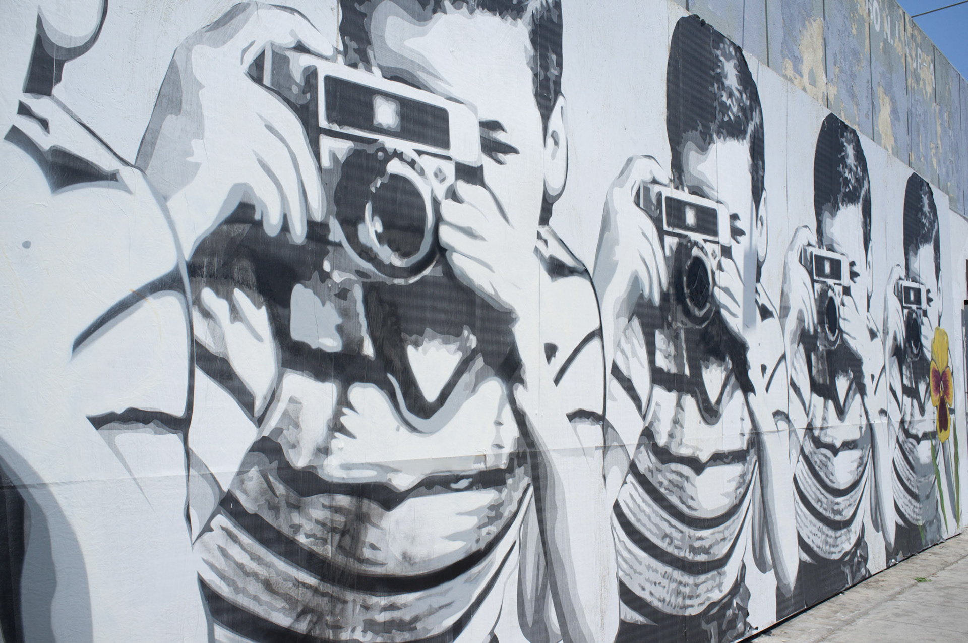 (Oba) Ohkba Ameziane-Hassani 2016 © obafkps@gmail.com ©  www.oba-photo.com