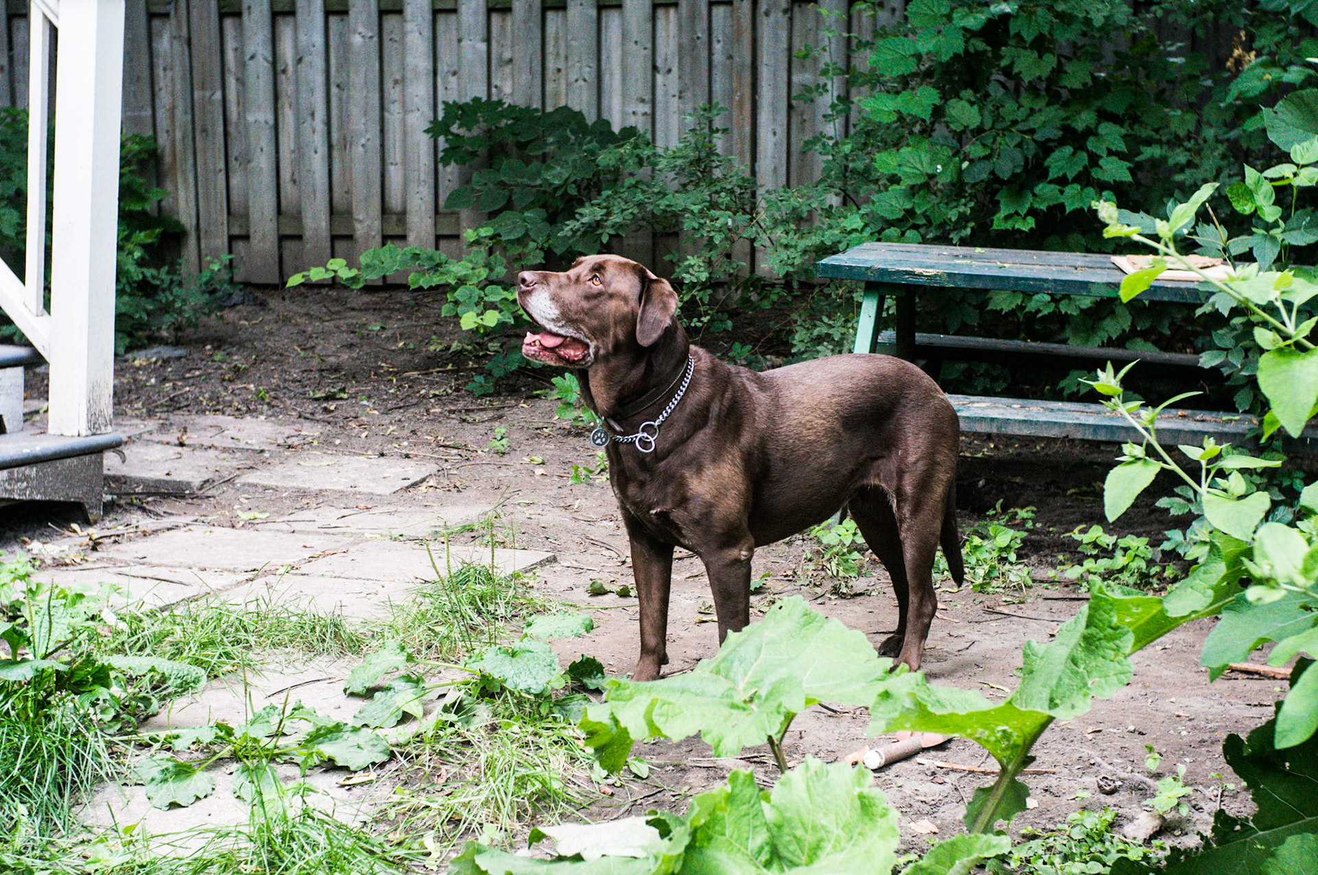 (Oba) Ohkba Ameziane-Hassani 2016 © obafkps@gmail.com ©  www.oba-photo.com