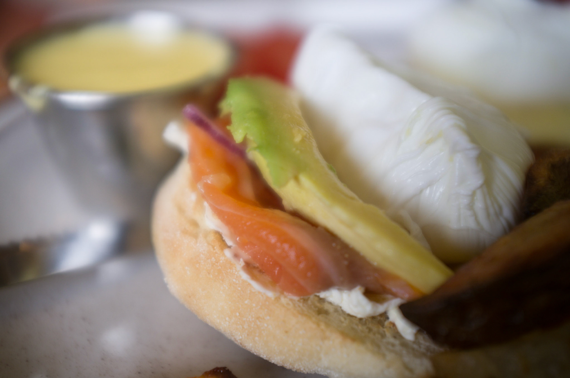 (Oba) Ohkba Ameziane-Hassani 2016 © obafkps@gmail.com ©  www.oba-photo.com