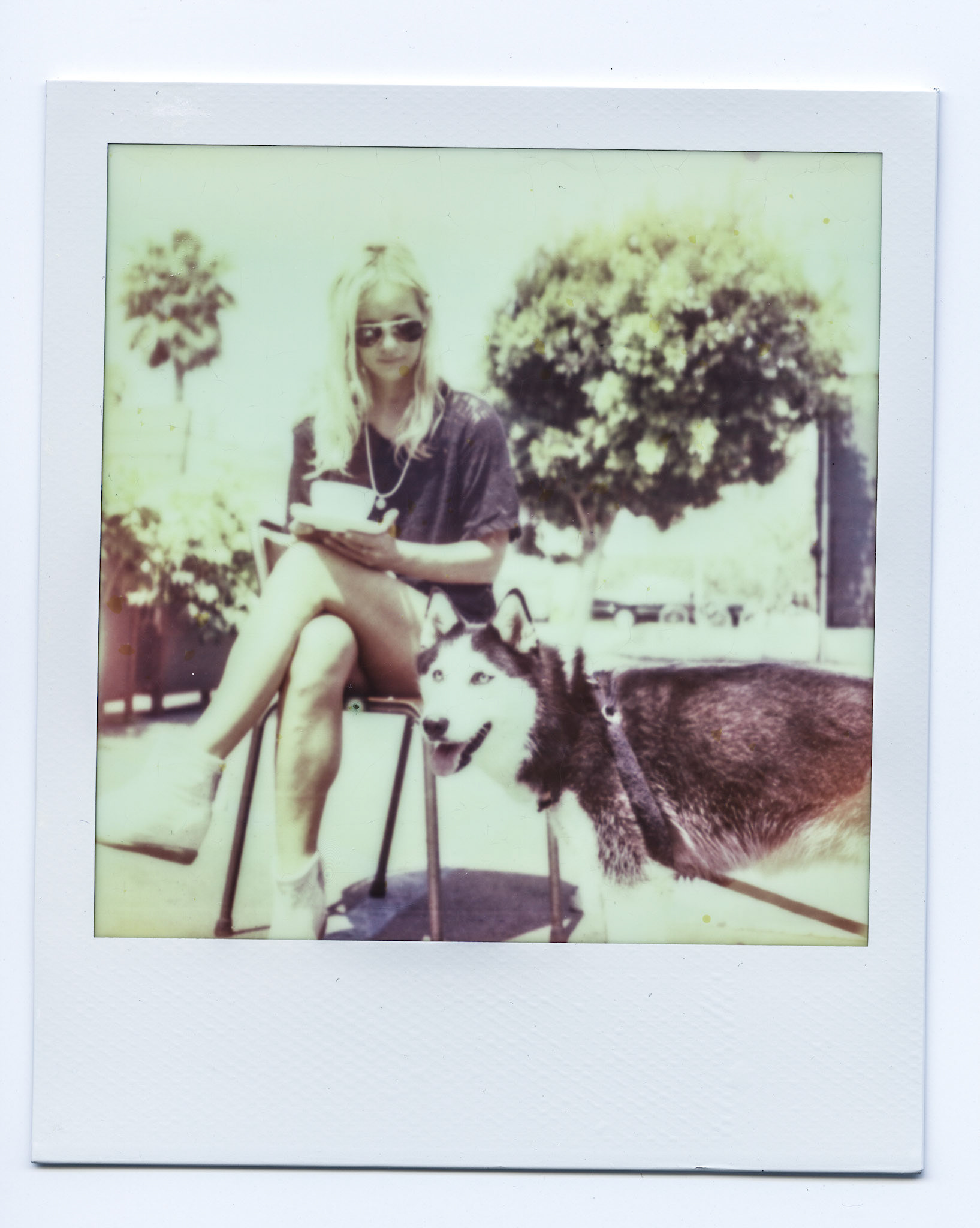 (Oba) Ohkba Ameziane-Hassani 2016 © obafkps@gmail.com ©  www.oba-photo.com©