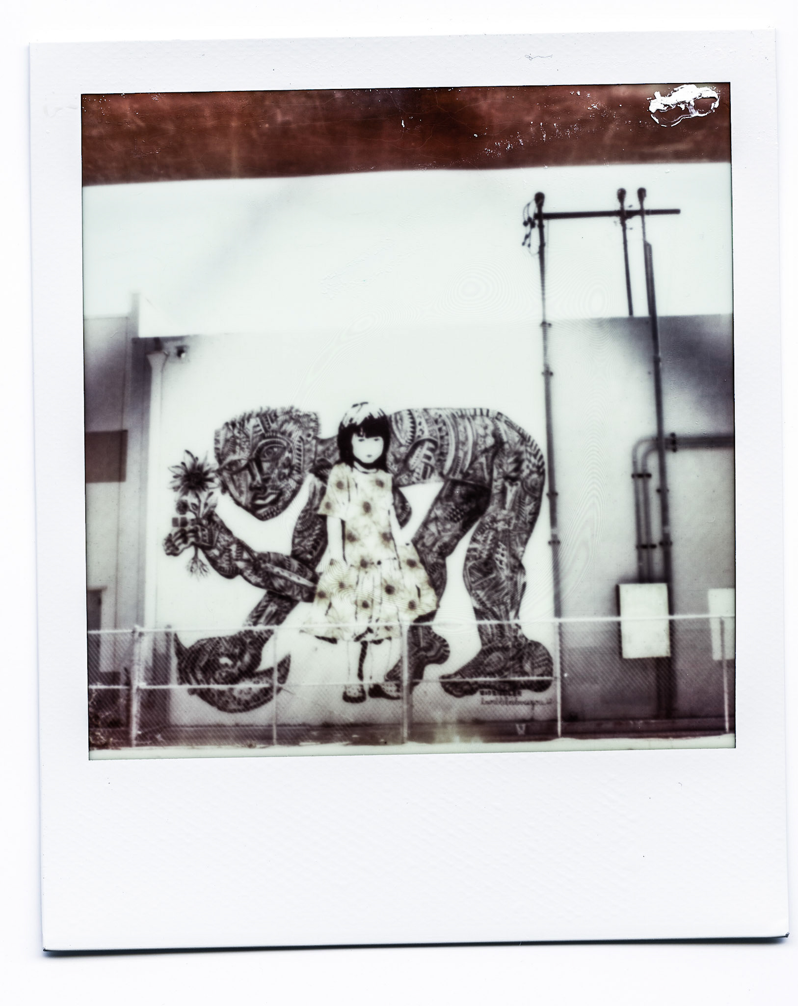 (Oba) Ohkba Ameziane-Hassani 2016 © obafkps@gmail.com ©  www.oba-photo.com©