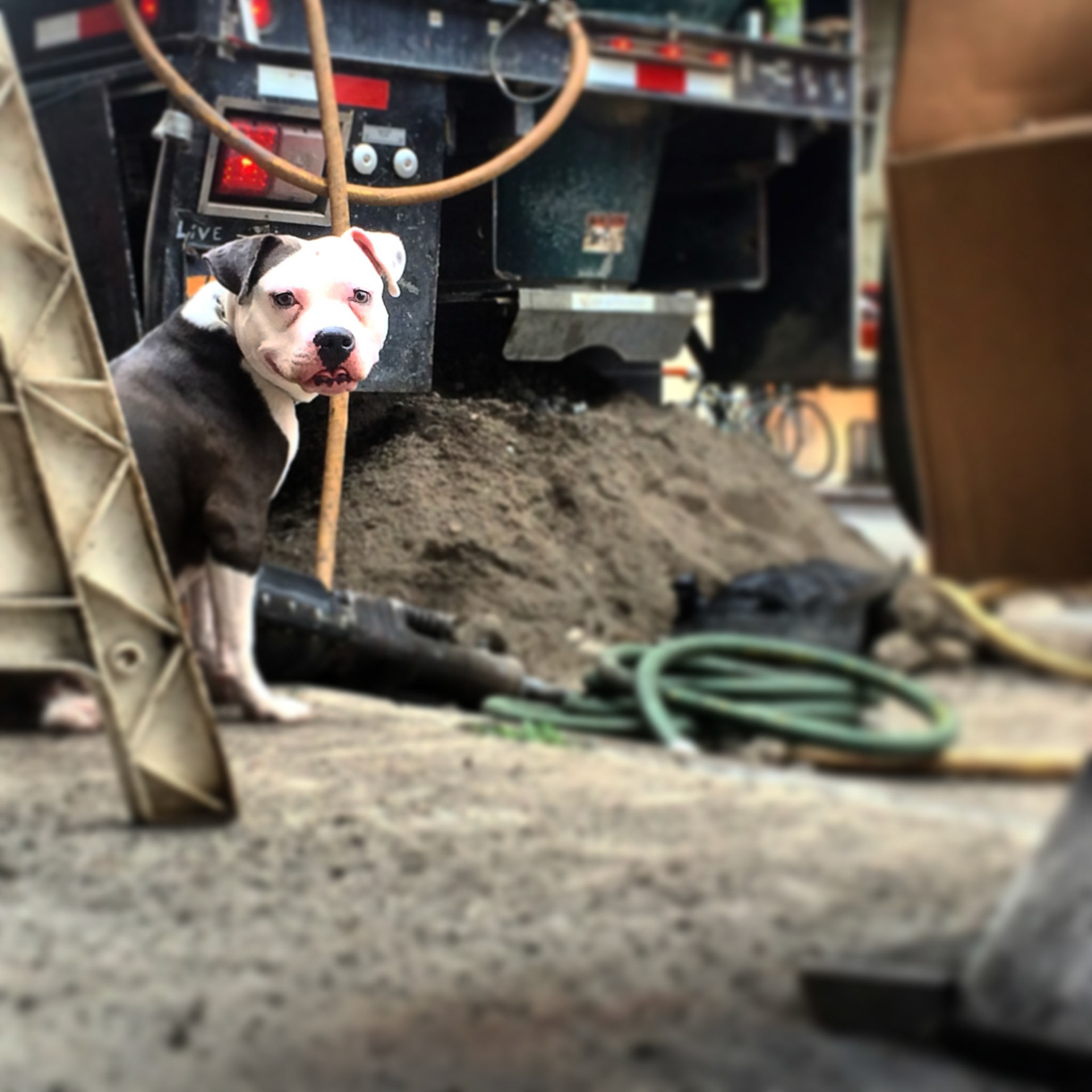 (Oba) Ohkba Ameziane-Hassani 2016 © obafkps@gmail.com ©  www.oba-photo.com