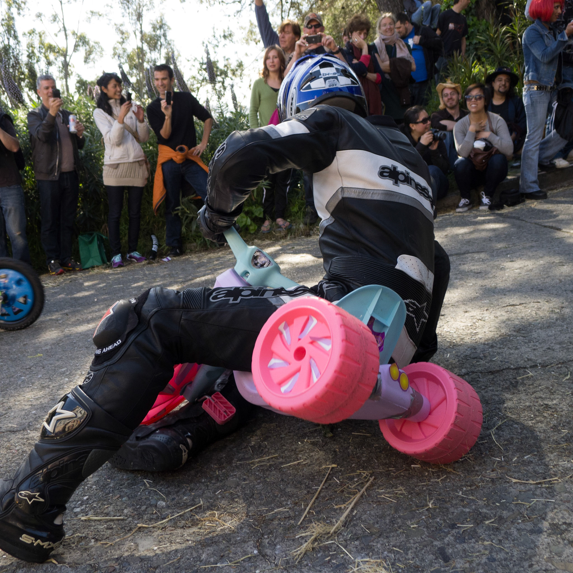 (Oba) Ohkba Ameziane-Hassani 2016 © obafkps@gmail.com ©  www.oba-photo.com