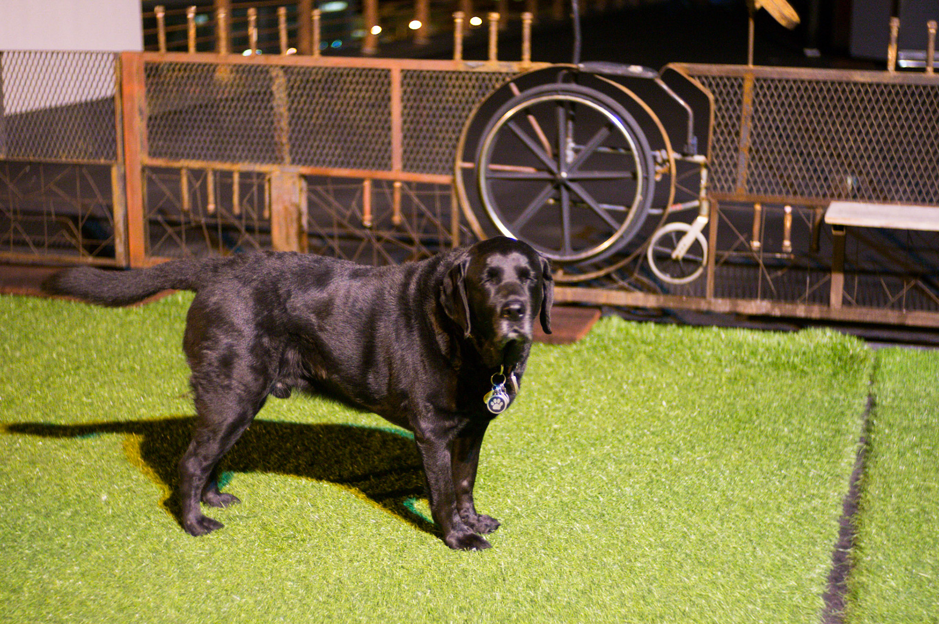 (Oba) Ohkba Ameziane-Hassani 2016 © obafkps@gmail.com ©  www.oba-photo.com