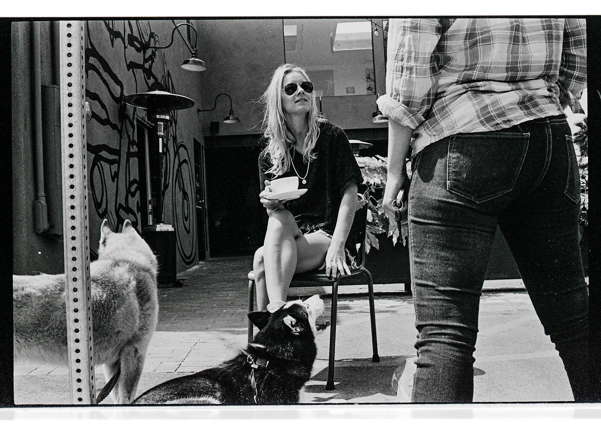 (Oba) Ohkba Ameziane-Hassani 2016 © obafkps@gmail.com ©  www.oba-photo.com