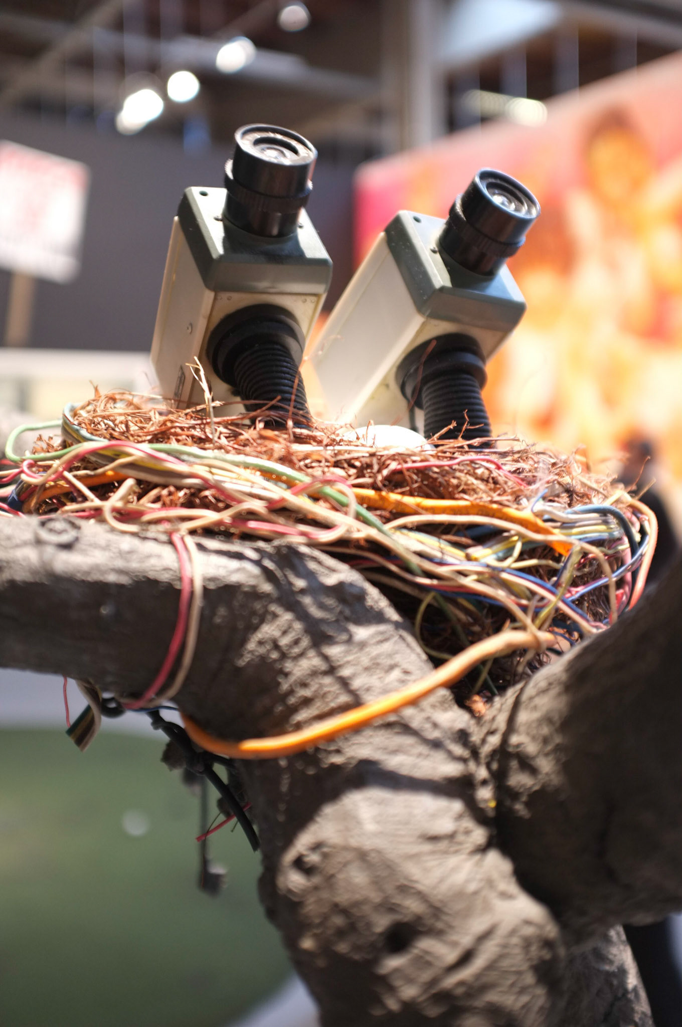 (Oba) Ohkba Ameziane-Hassani 2016 © obafkps@gmail.com ©  www.oba-photo.com