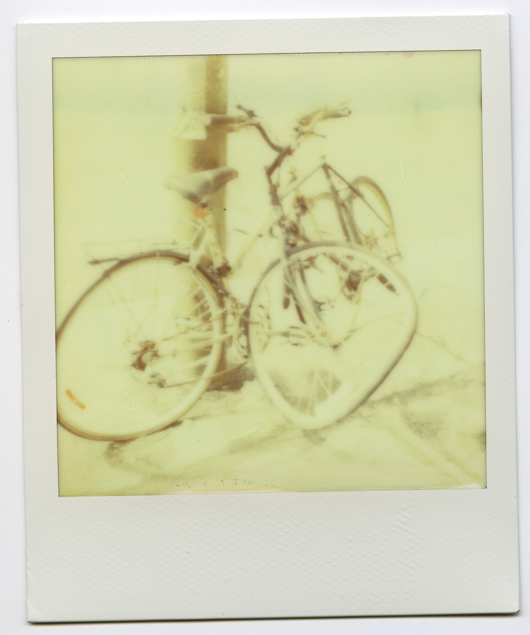 (Oba) Ohkba Ameziane-Hassani 2016 © obafkps@gmail.com ©  www.oba-photo.com©