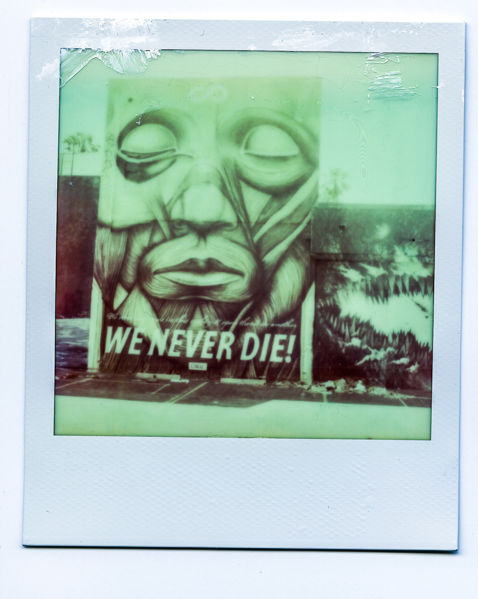 (Oba) Ohkba Ameziane-Hassani 2016 © obafkps@gmail.com ©  www.oba-photo.com©