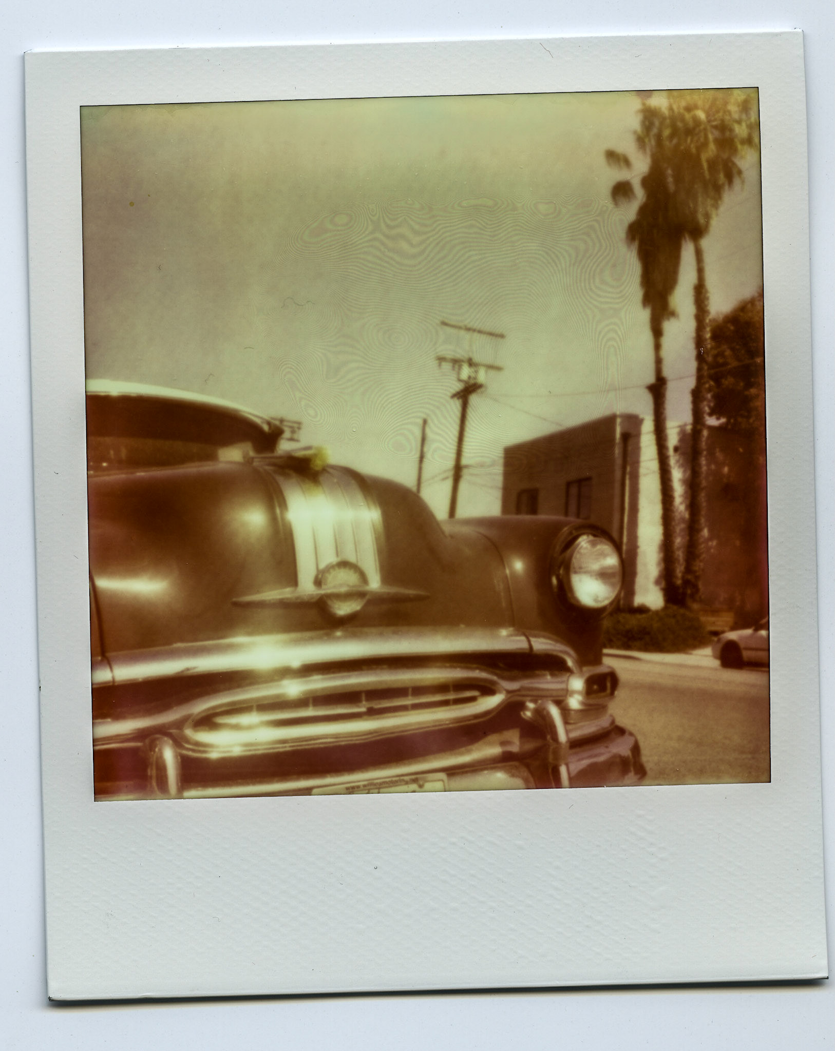 (Oba) Ohkba Ameziane-Hassani 2016 © obafkps@gmail.com ©  www.oba-photo.com©