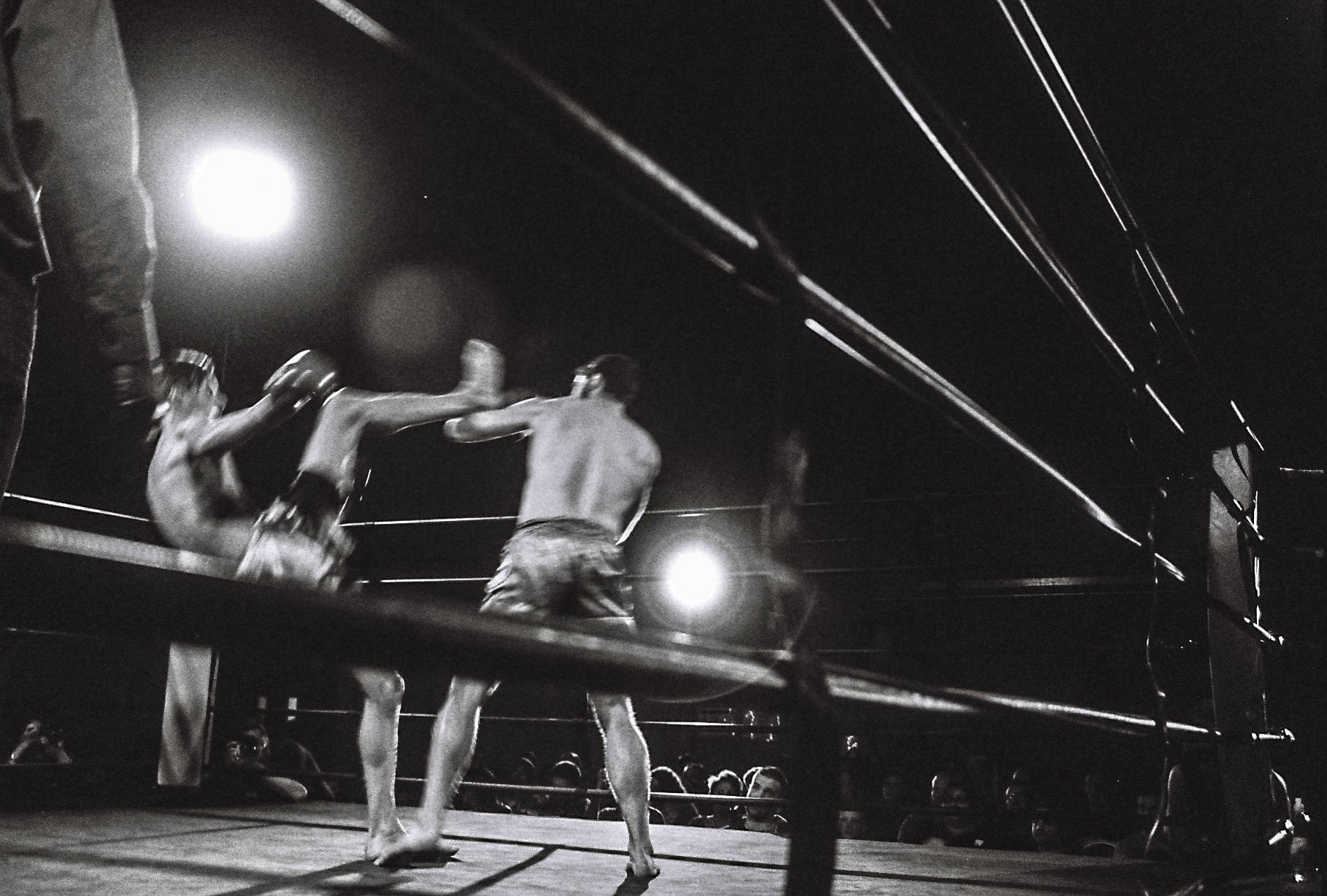 (Oba) Ohkba Ameziane-Hassani 2016 © obafkps@gmail.com ©  www.oba-photo.com