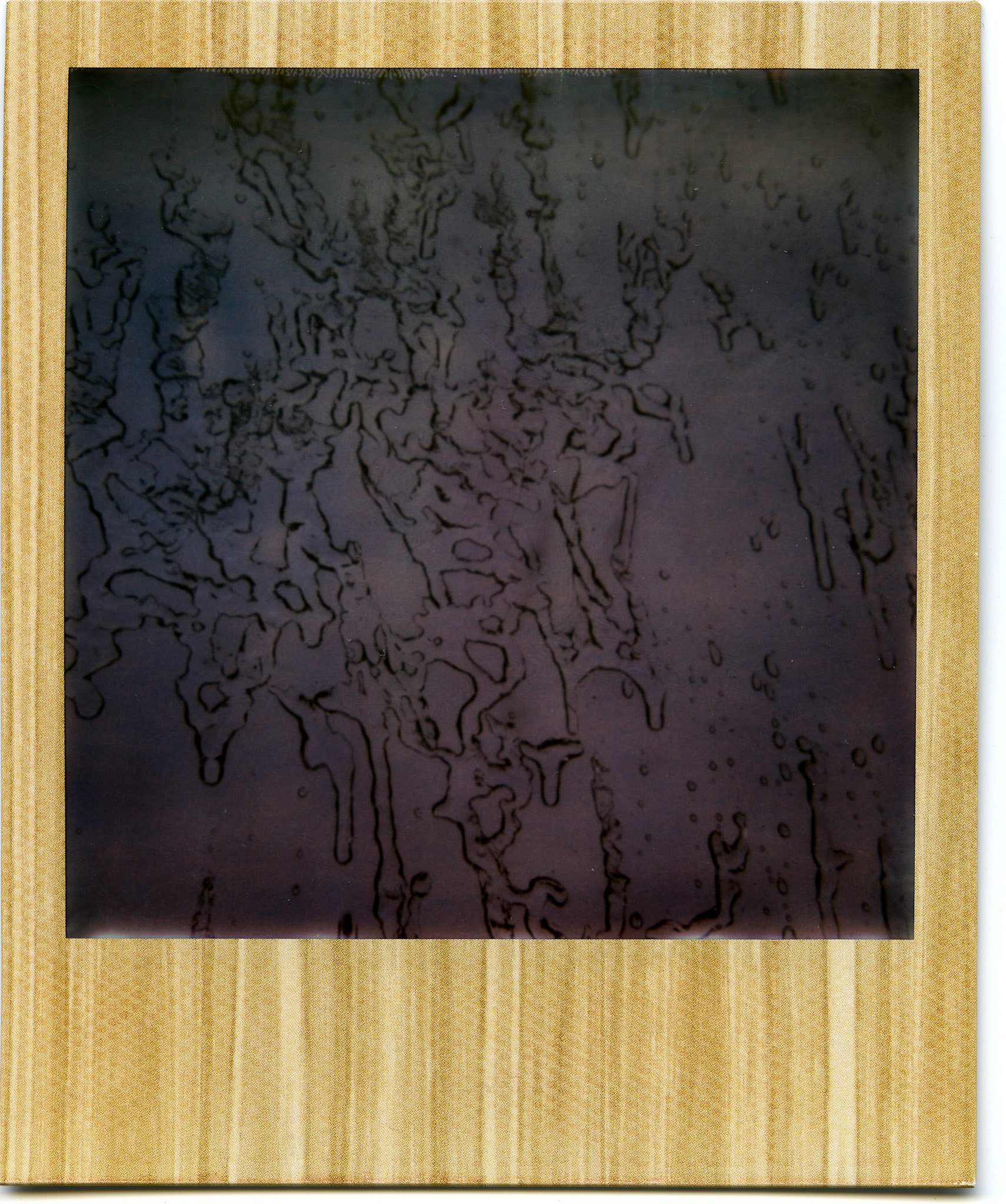 (Oba) Ohkba Ameziane-Hassani 2016 © obafkps@gmail.com ©  www.oba-photo.com©