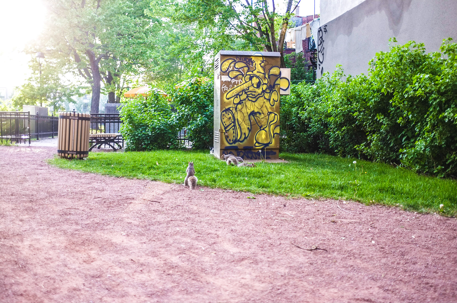 (Oba) Ohkba Ameziane-Hassani 2016 © obafkps@gmail.com ©  www.oba-photo.com