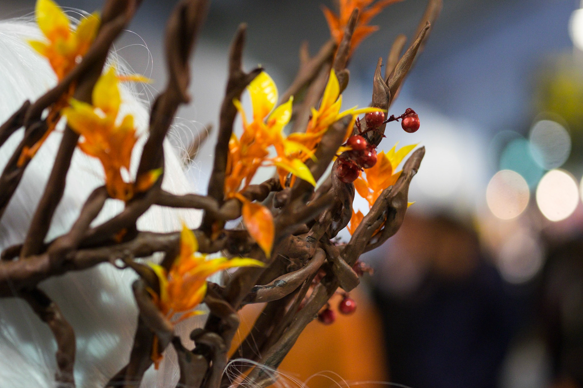 (Oba) Ohkba Ameziane-Hassani 2016 © obafkps@gmail.com ©  www.oba-photo.com