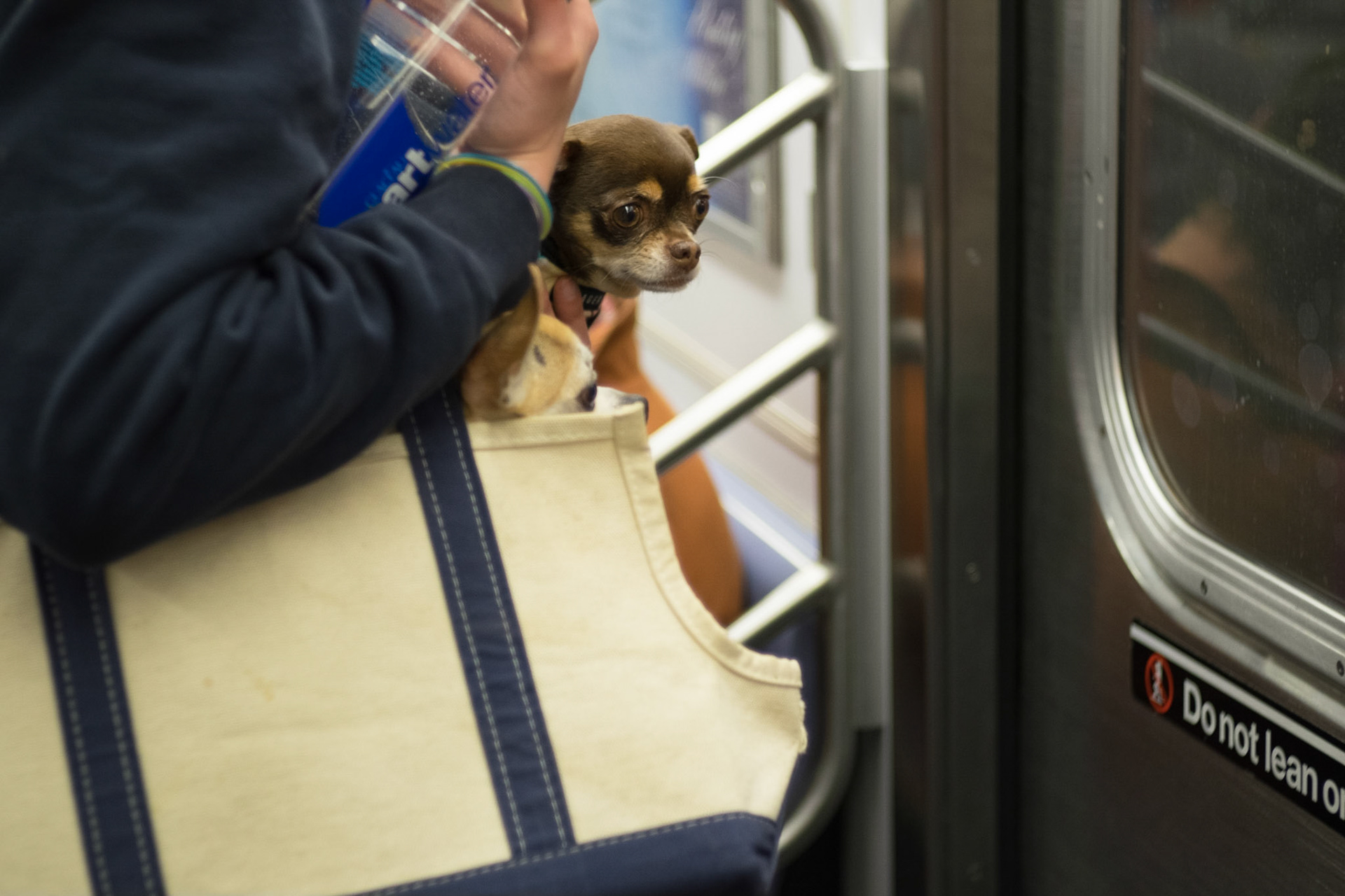 (Oba) Ohkba Ameziane-Hassani 2016 © obafkps@gmail.com ©  www.oba-photo.com