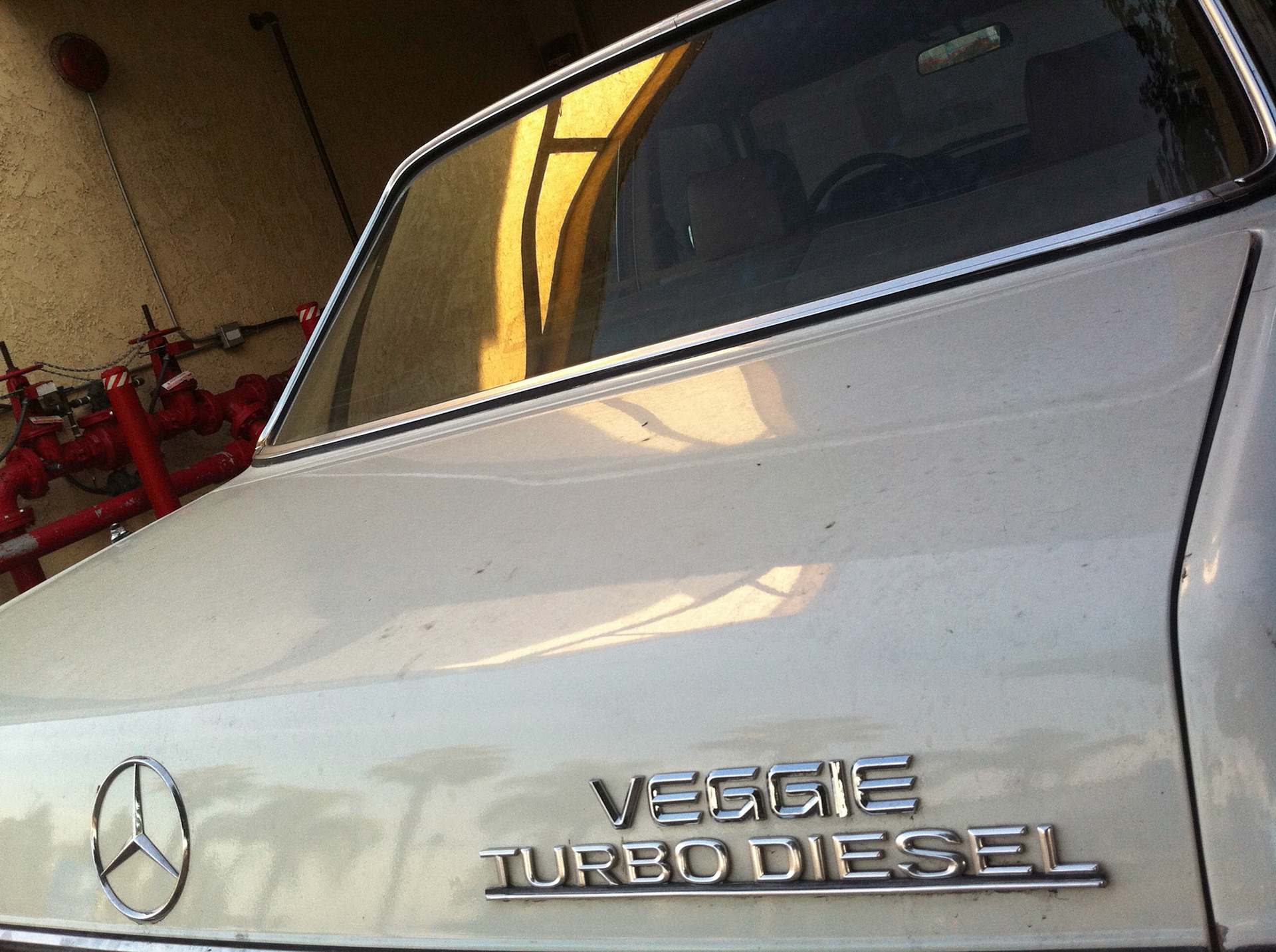 (Oba) Ohkba Ameziane-Hassani 2016 © obafkps@gmail.com ©  www.oba-photo.com