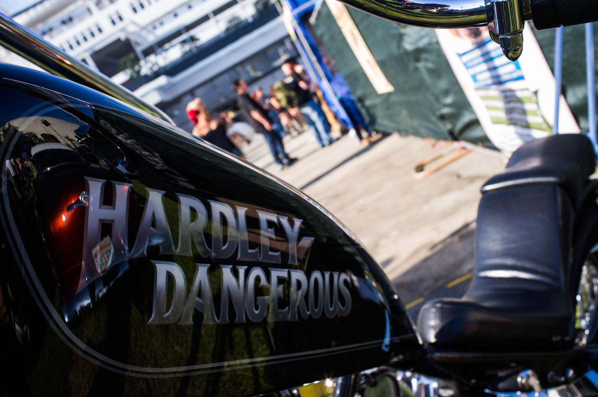 (Oba) Ohkba Ameziane-Hassani 2016 © obafkps@gmail.com ©  www.oba-photo.com