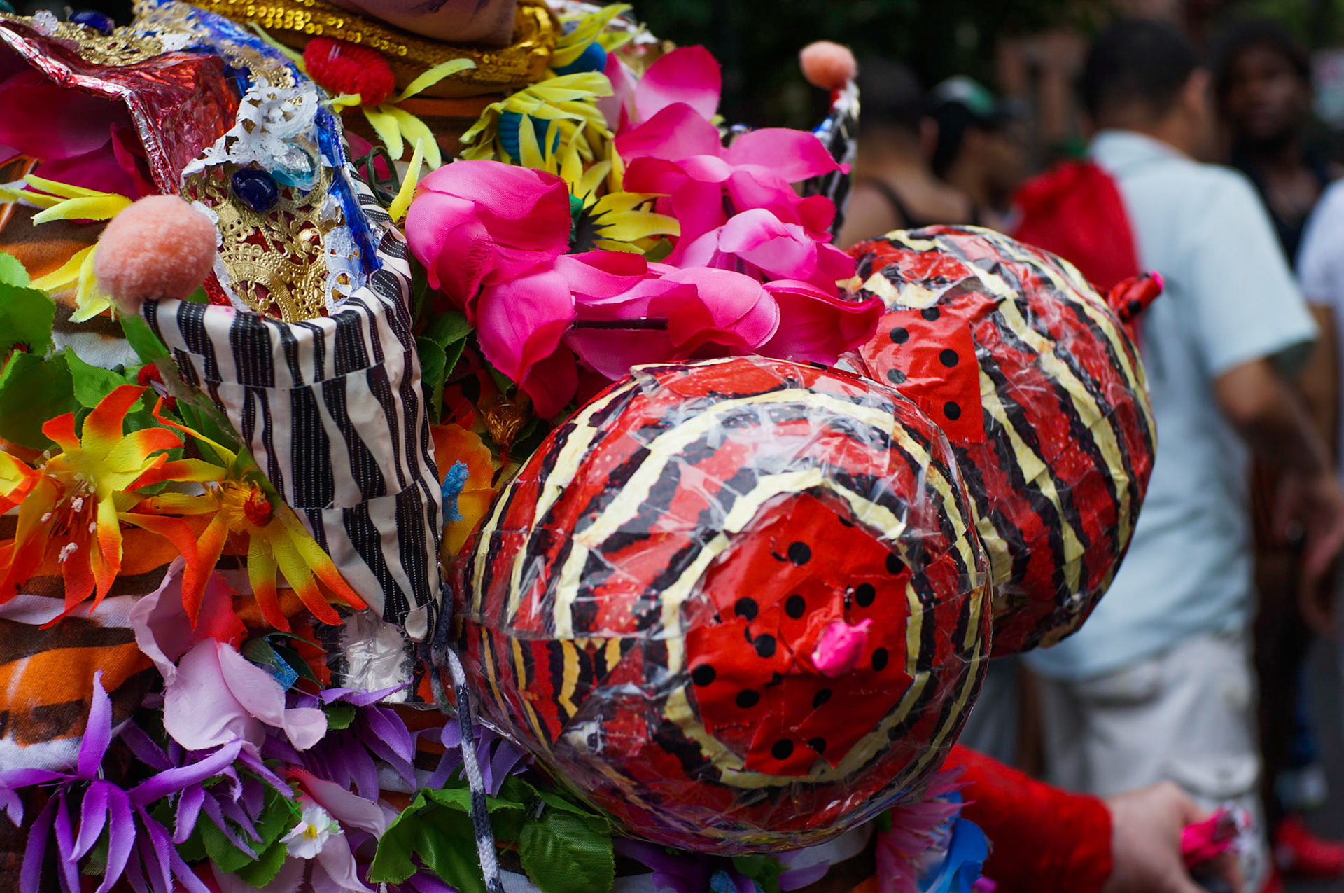 (Oba) Ohkba Ameziane-Hassani 2016 © obafkps@gmail.com ©  www.oba-photo.com