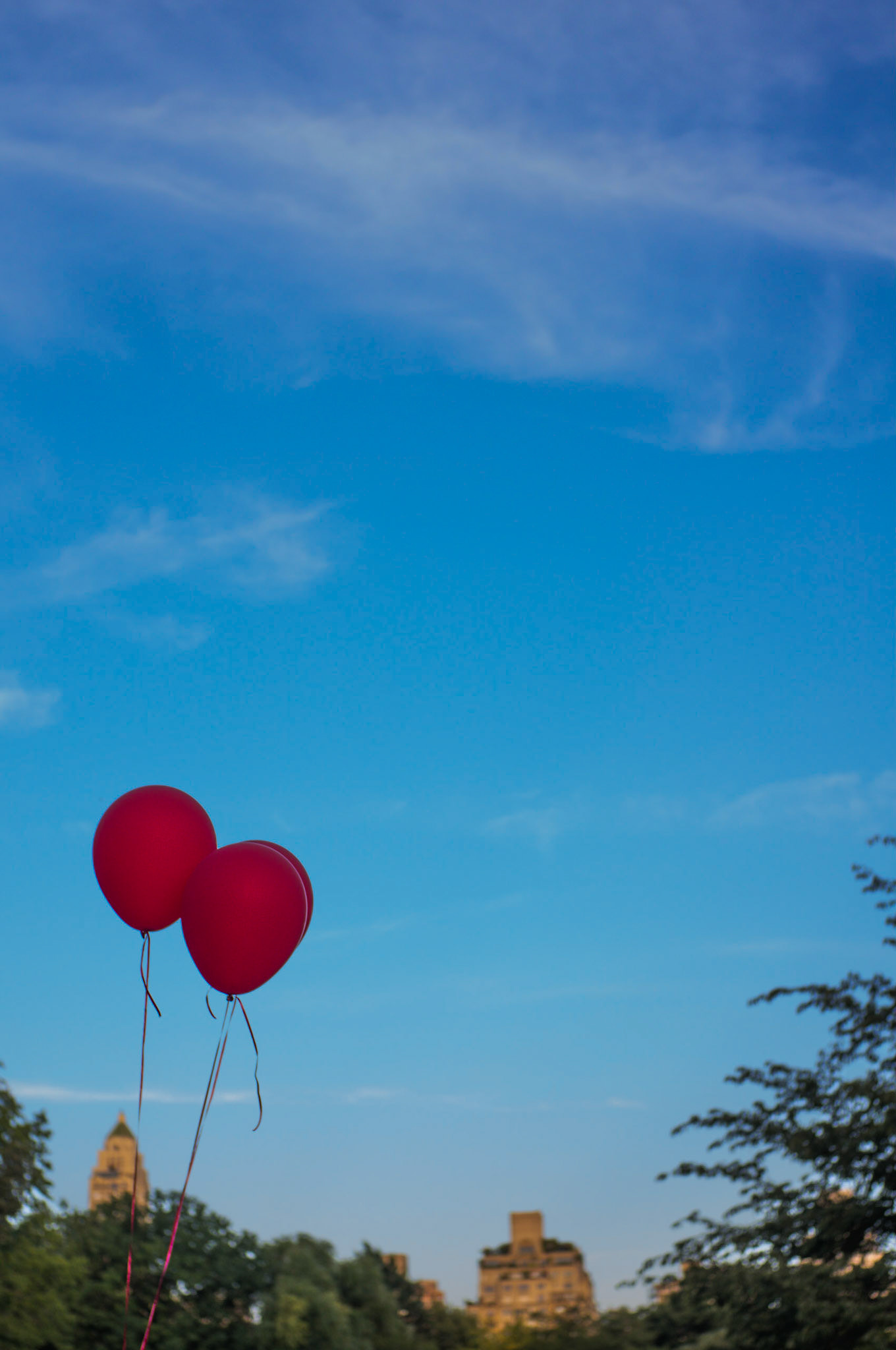 (Oba) Ohkba Ameziane-Hassani 2016 © obafkps@gmail.com ©  www.oba-photo.com