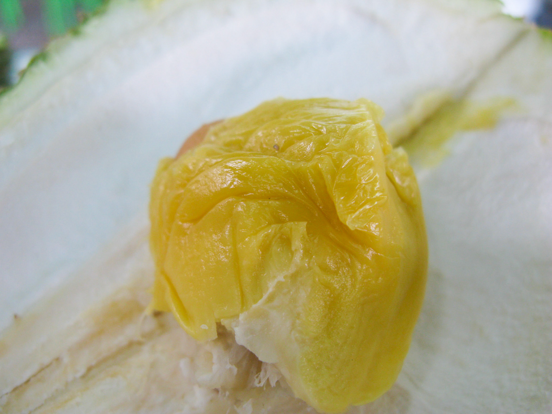 (Oba) Ohkba Ameziane-Hassani 2016 © obafkps@gmail.com ©  www.oba-photo.com