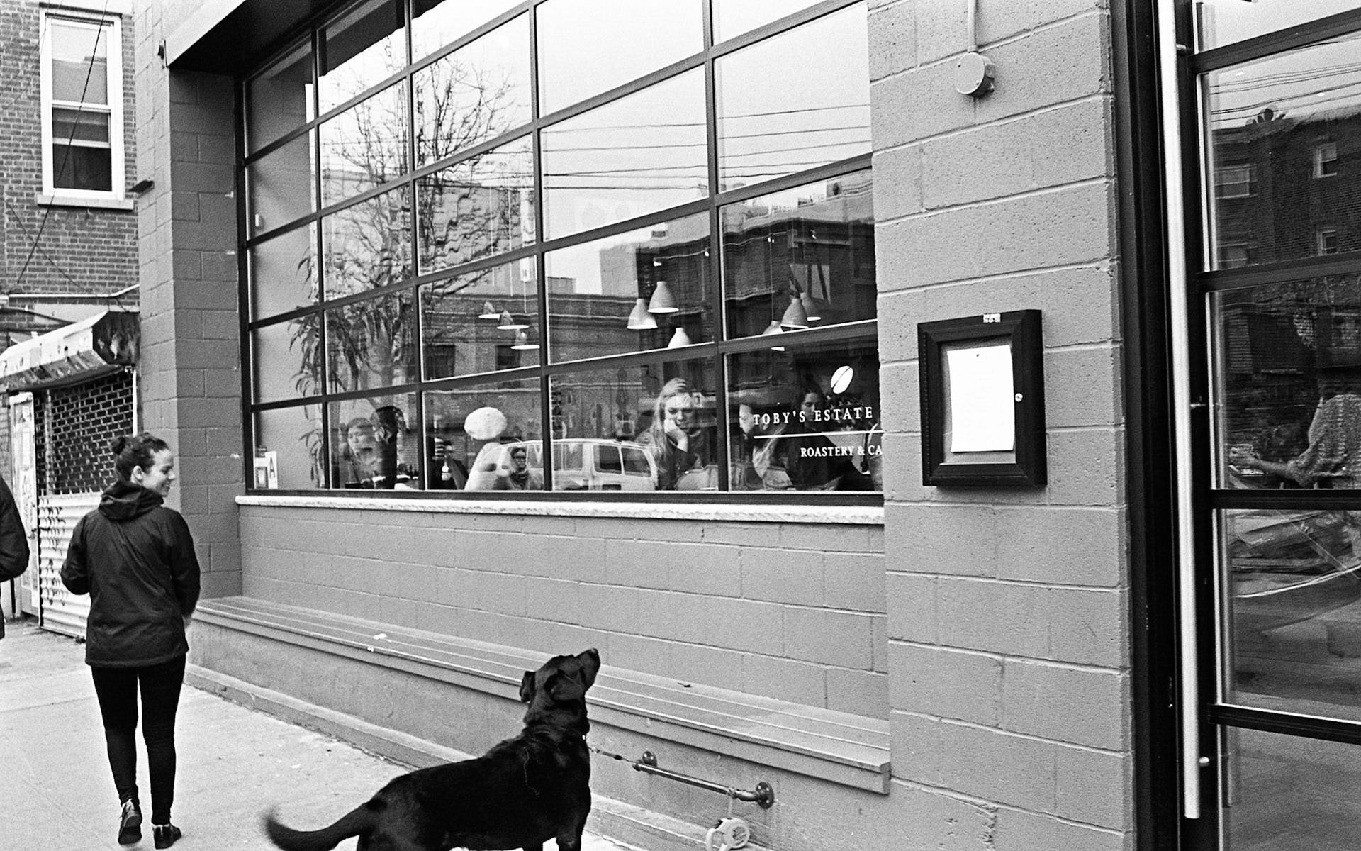 (Oba) Ohkba Ameziane-Hassani 2016 © obafkps@gmail.com ©  www.oba-photo.com