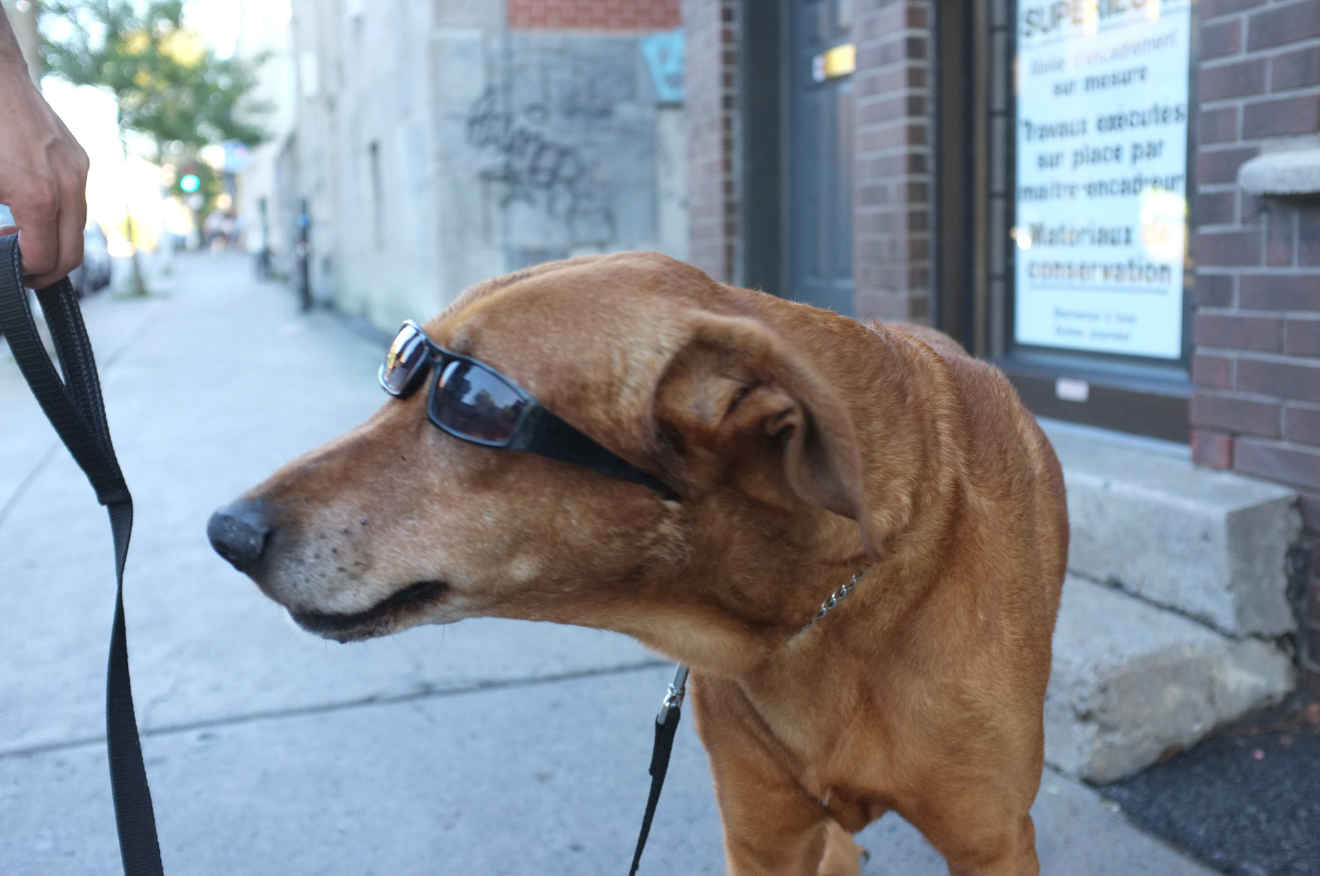 (Oba) Ohkba Ameziane-Hassani 2016 © obafkps@gmail.com ©  www.oba-photo.com