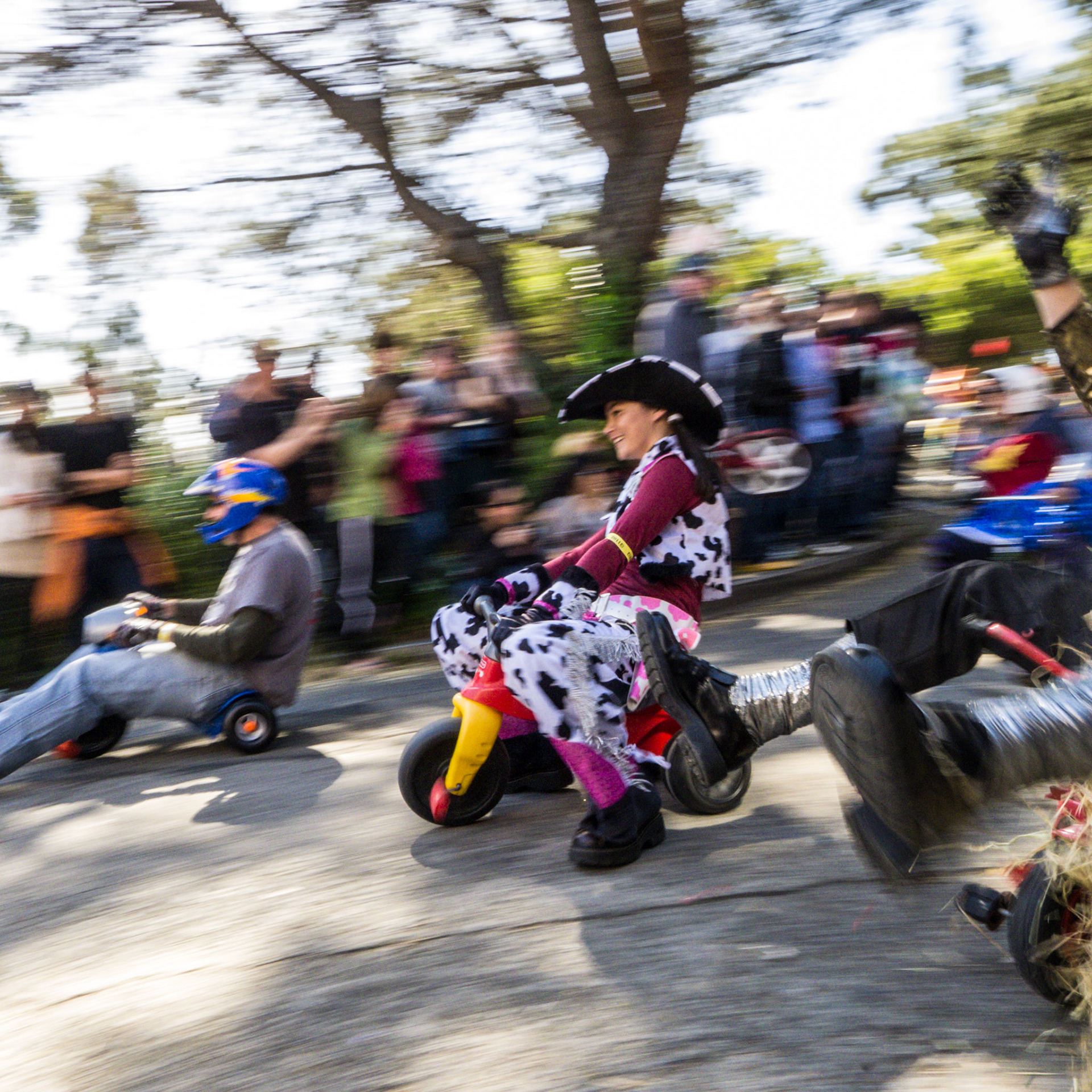 (Oba) Ohkba Ameziane-Hassani 2016 © obafkps@gmail.com ©  www.oba-photo.com