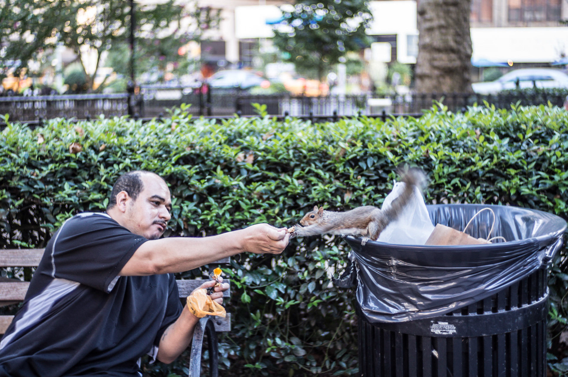 (Oba) Ohkba Ameziane-Hassani 2016 © obafkps@gmail.com ©  www.oba-photo.com©