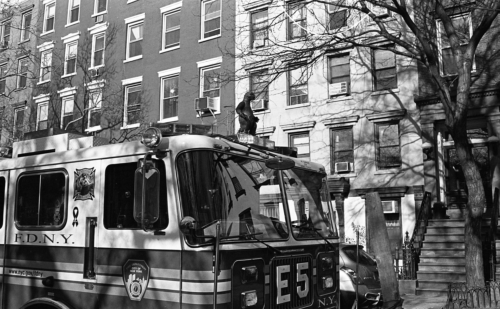 (Oba) Ohkba Ameziane-Hassani 2016 © obafkps@gmail.com ©  www.oba-photo.com