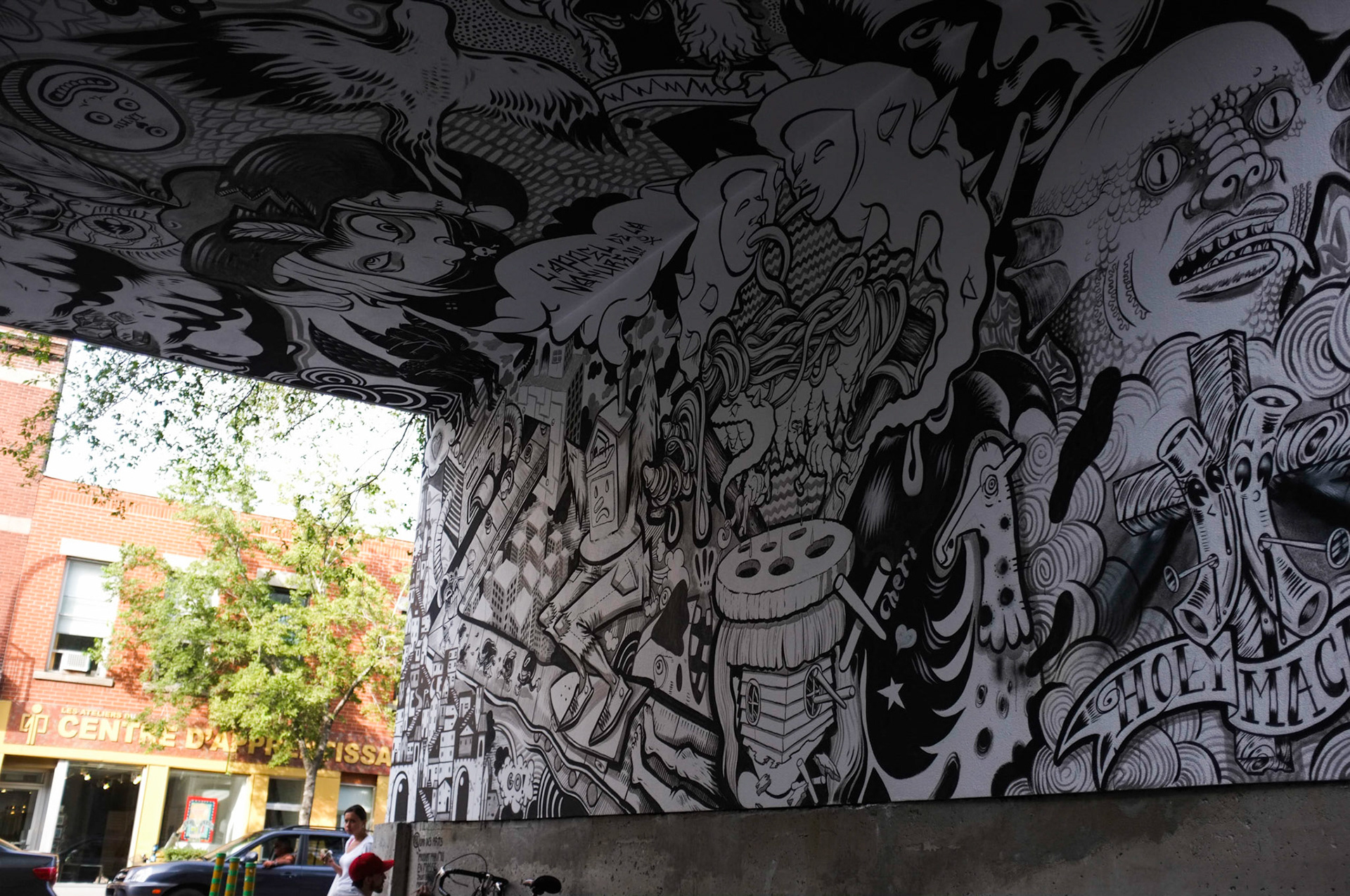 (Oba) Ohkba Ameziane-Hassani 2016 © obafkps@gmail.com ©  www.oba-photo.com