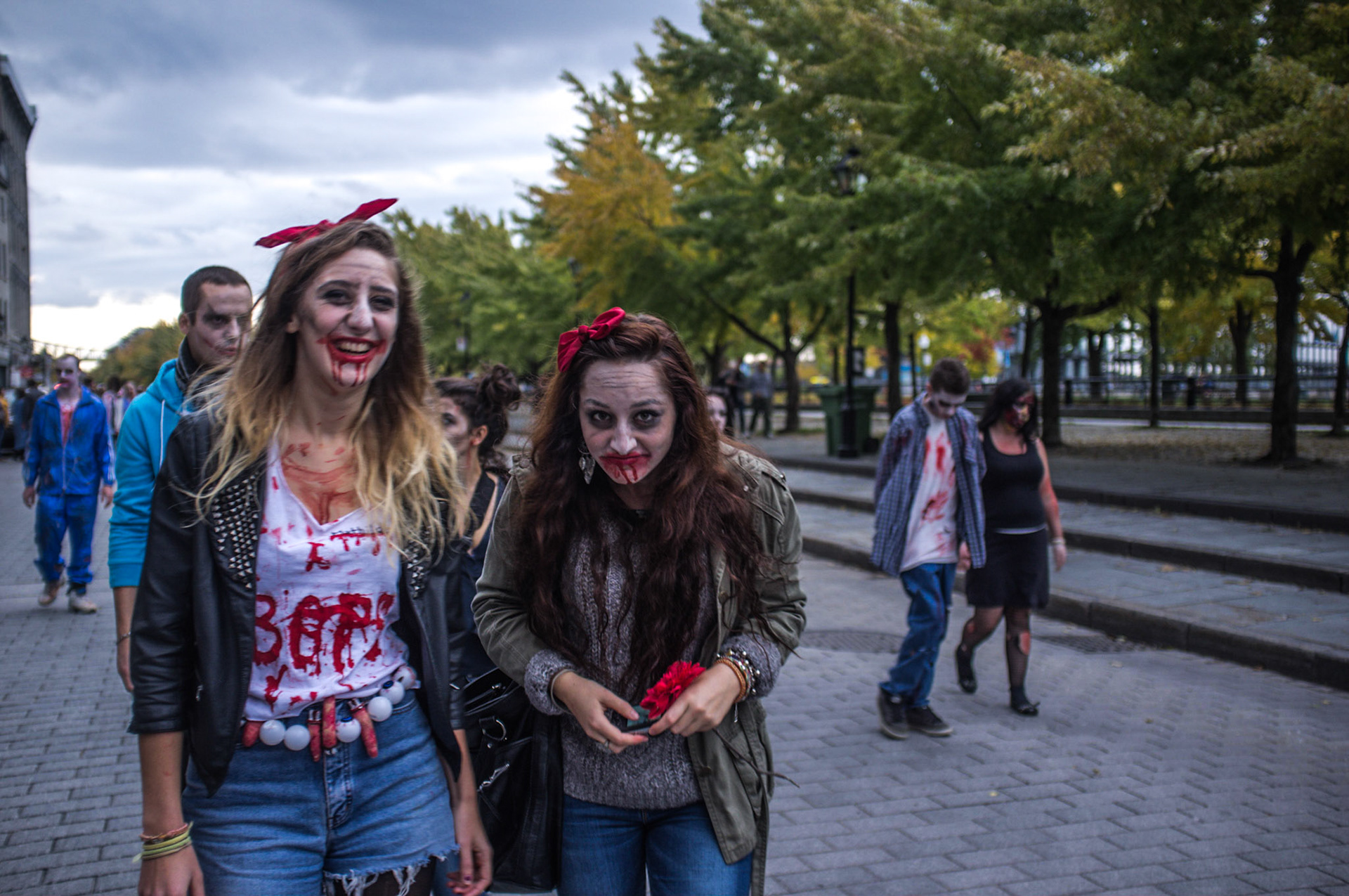 (Oba) Ohkba Ameziane-Hassani 2016 © obafkps@gmail.com ©  www.oba-photo.com