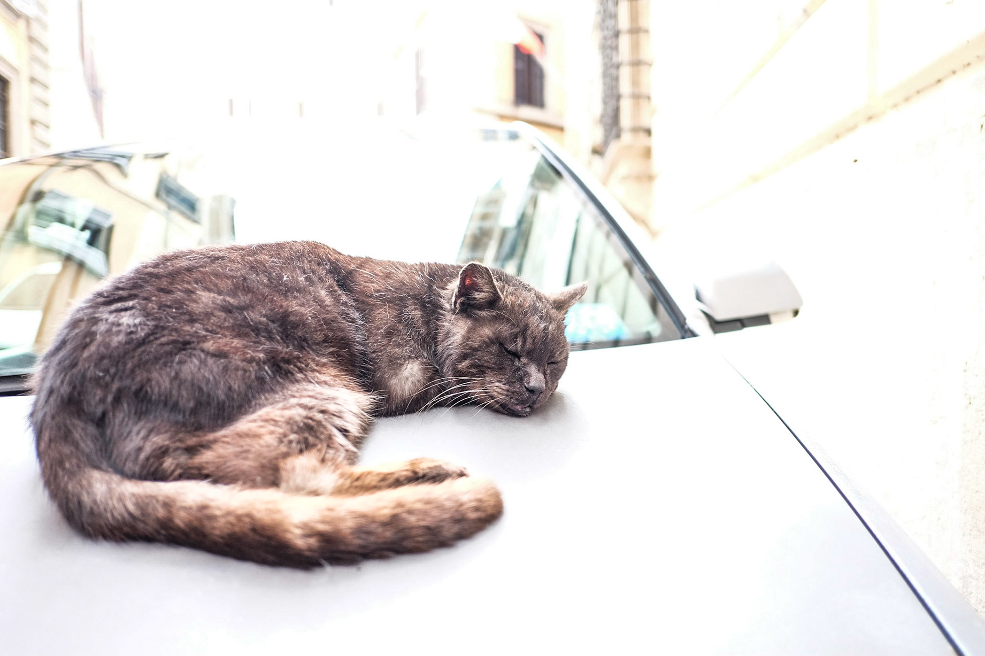 (Oba) Ohkba Ameziane-Hassani 2016 © obafkps@gmail.com ©  www.oba-photo.com