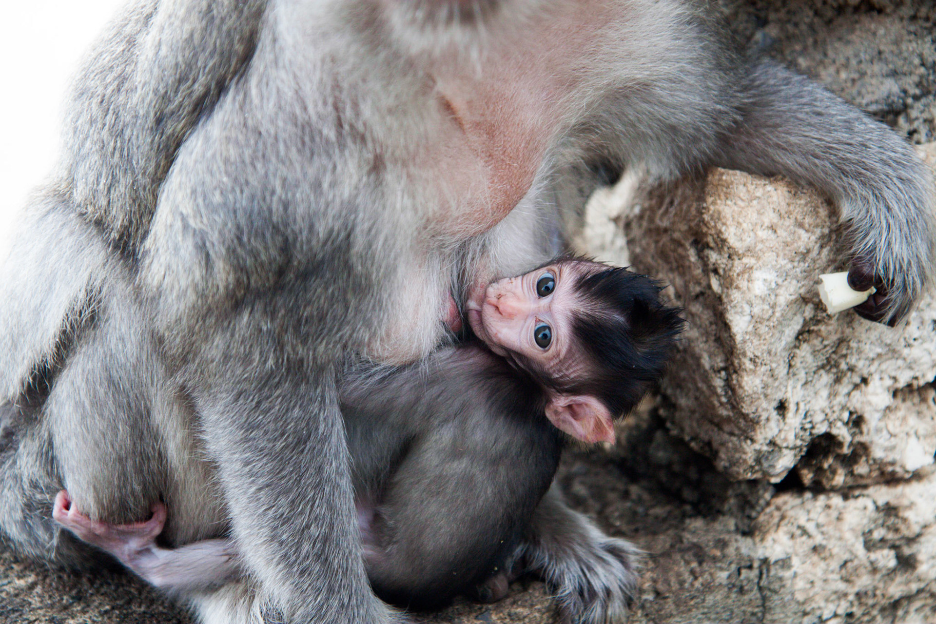 (Oba) Ohkba Ameziane-Hassani 2016 © obafkps@gmail.com ©  www.oba-photo.com