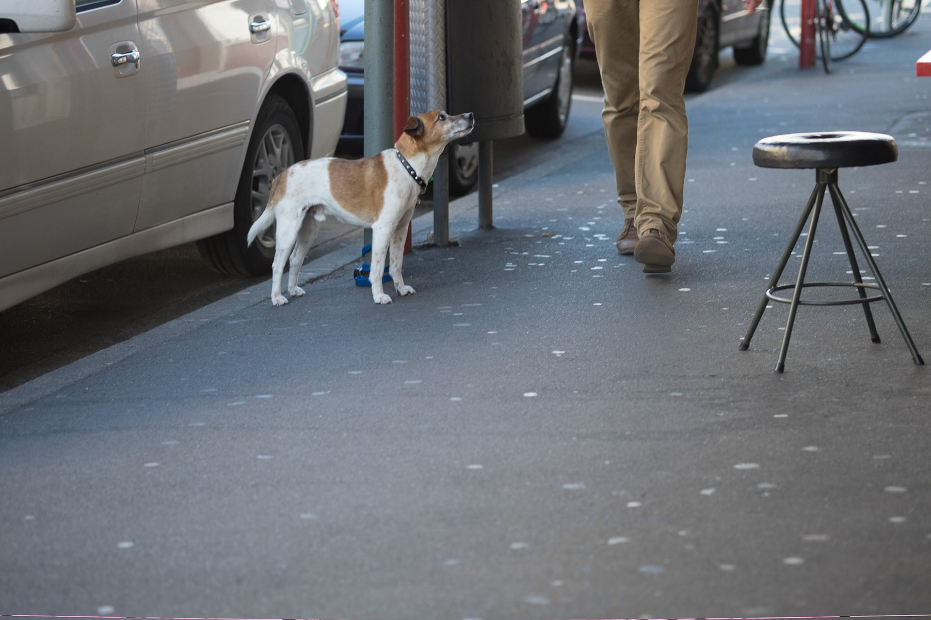 (Oba) Ohkba Ameziane-Hassani 2016 © obafkps@gmail.com ©  www.oba-photo.com