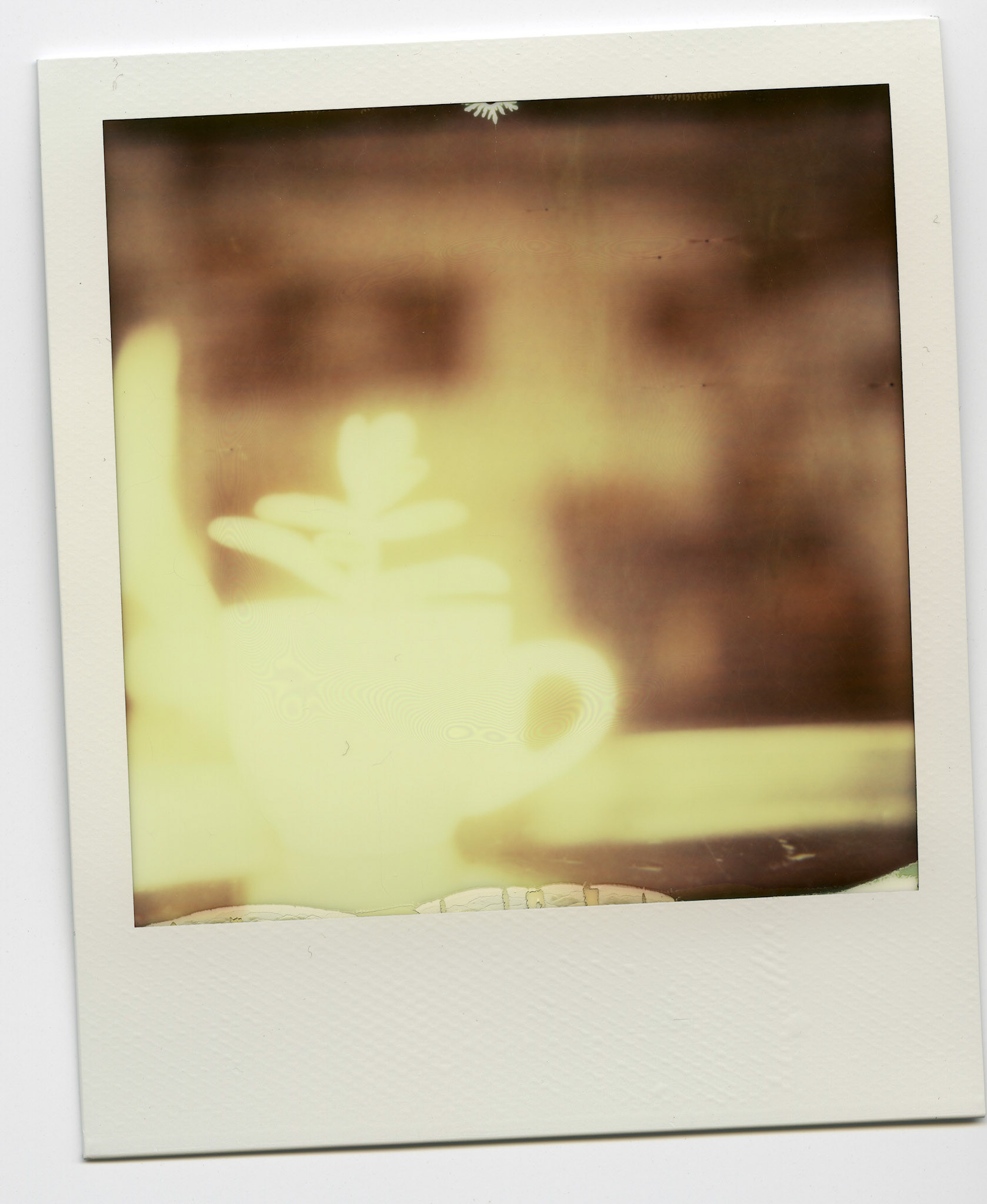 (Oba) Ohkba Ameziane-Hassani 2016 © obafkps@gmail.com ©  www.oba-photo.com©