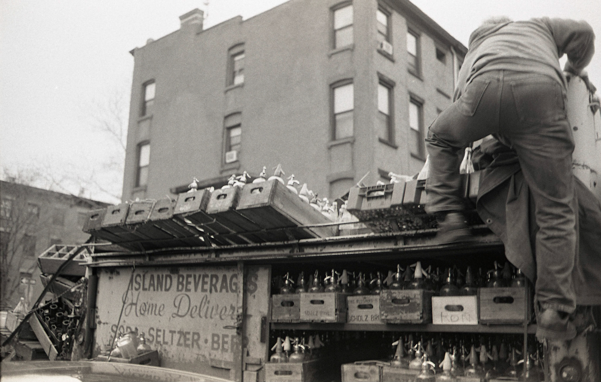 (Oba) Ohkba Ameziane-Hassani 2016 © obafkps@gmail.com ©  www.oba-photo.com