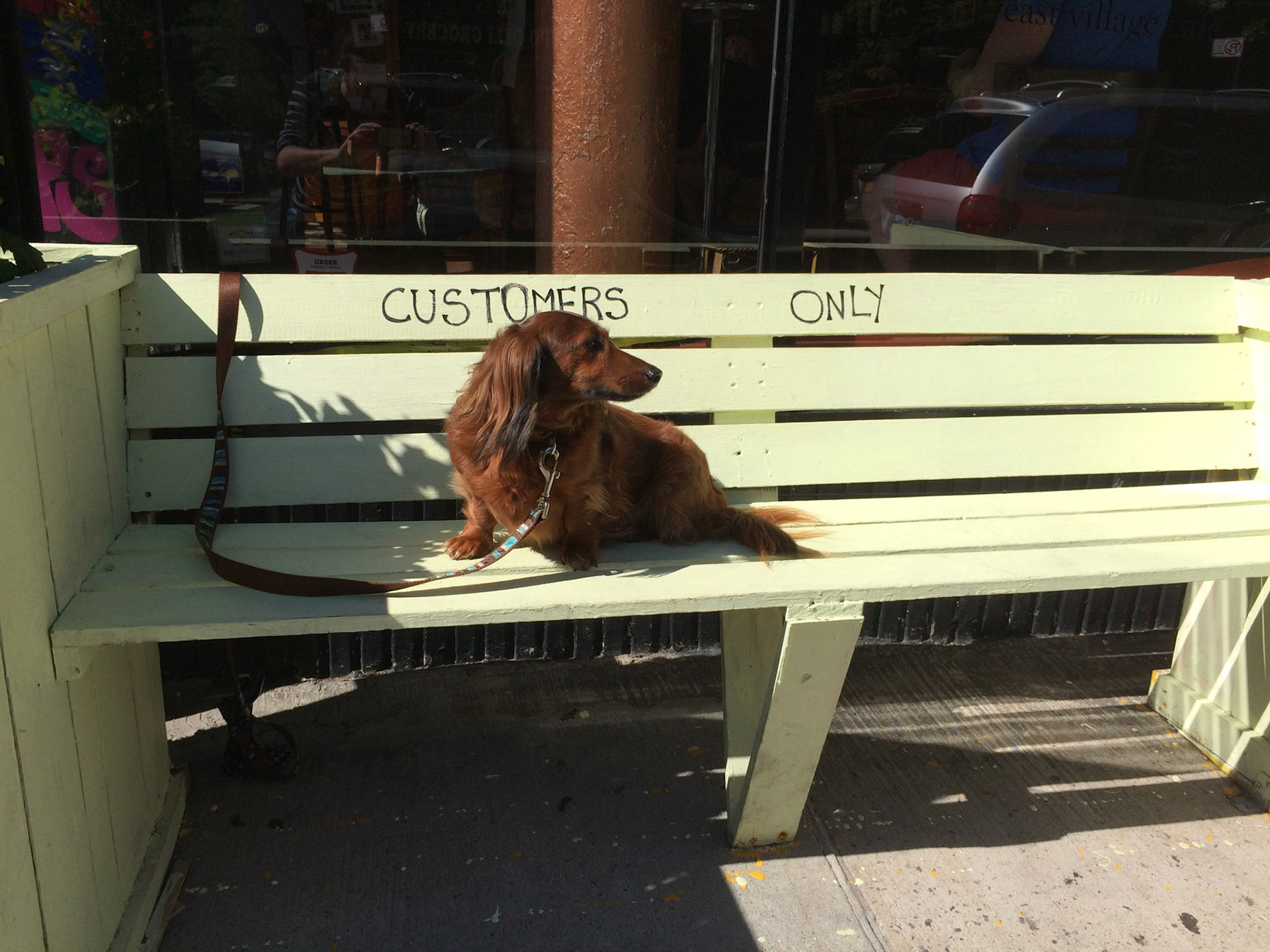 (Oba) Ohkba Ameziane-Hassani 2016 © obafkps@gmail.com ©  www.oba-photo.com