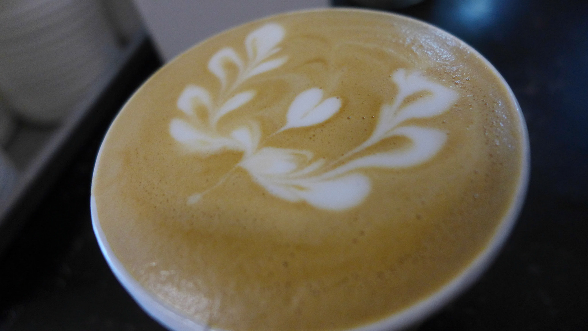 (Oba) Ohkba Ameziane-Hassani 2016 © obafkps@gmail.com ©  www.oba-photo.com