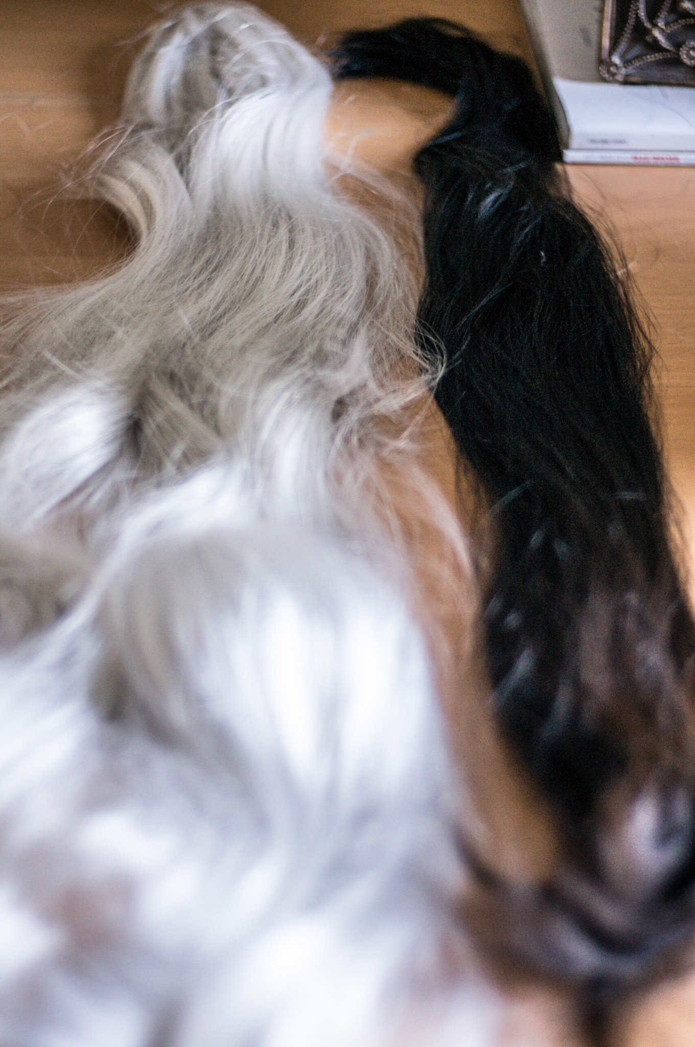 (Oba) Ohkba Ameziane-Hassani 2016 © obafkps@gmail.com ©  www.oba-photo.com