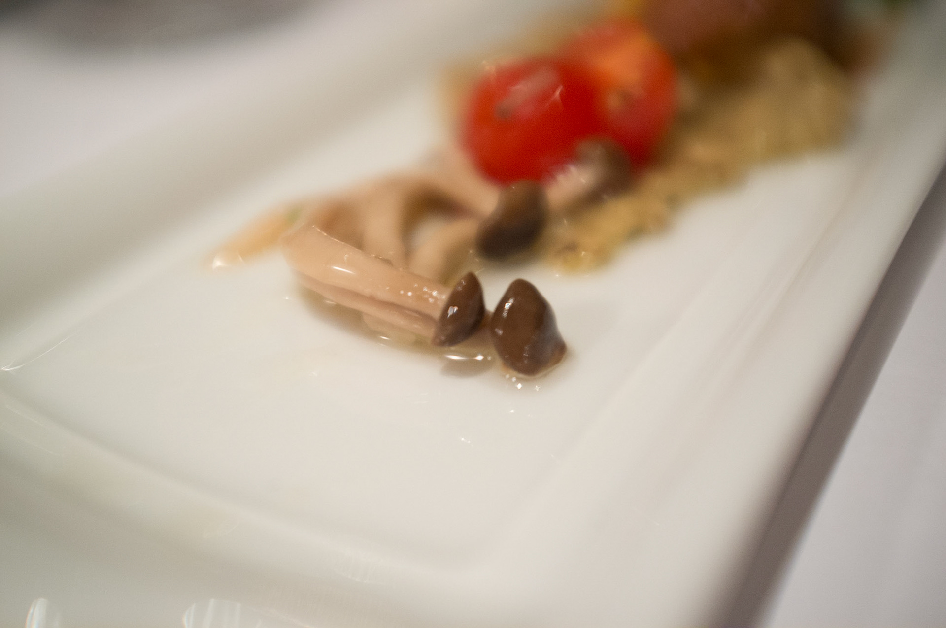 (Oba) Ohkba Ameziane-Hassani 2016 © obafkps@gmail.com ©  www.oba-photo.com