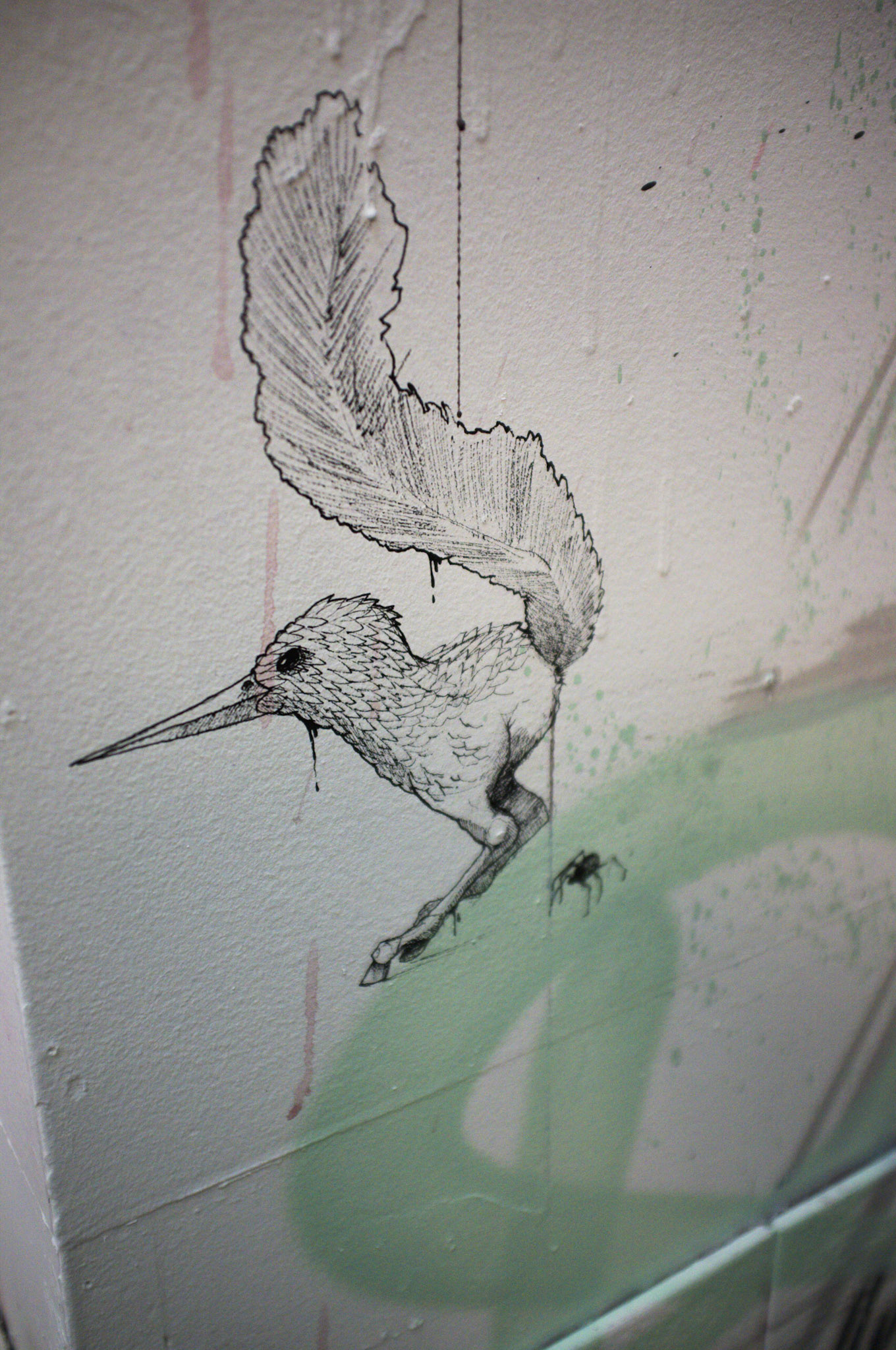 (Oba) Ohkba Ameziane-Hassani 2016 © obafkps@gmail.com ©  www.oba-photo.com