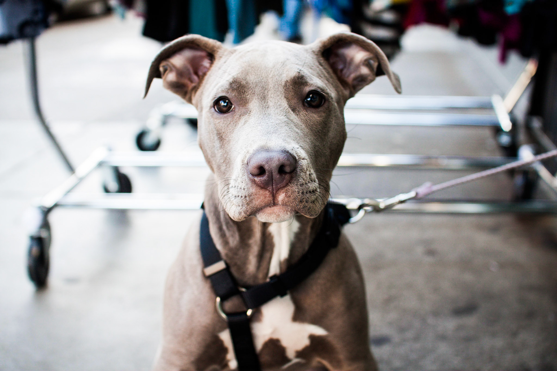 (Oba) Ohkba Ameziane-Hassani 2016 © obafkps@gmail.com ©  www.oba-photo.com