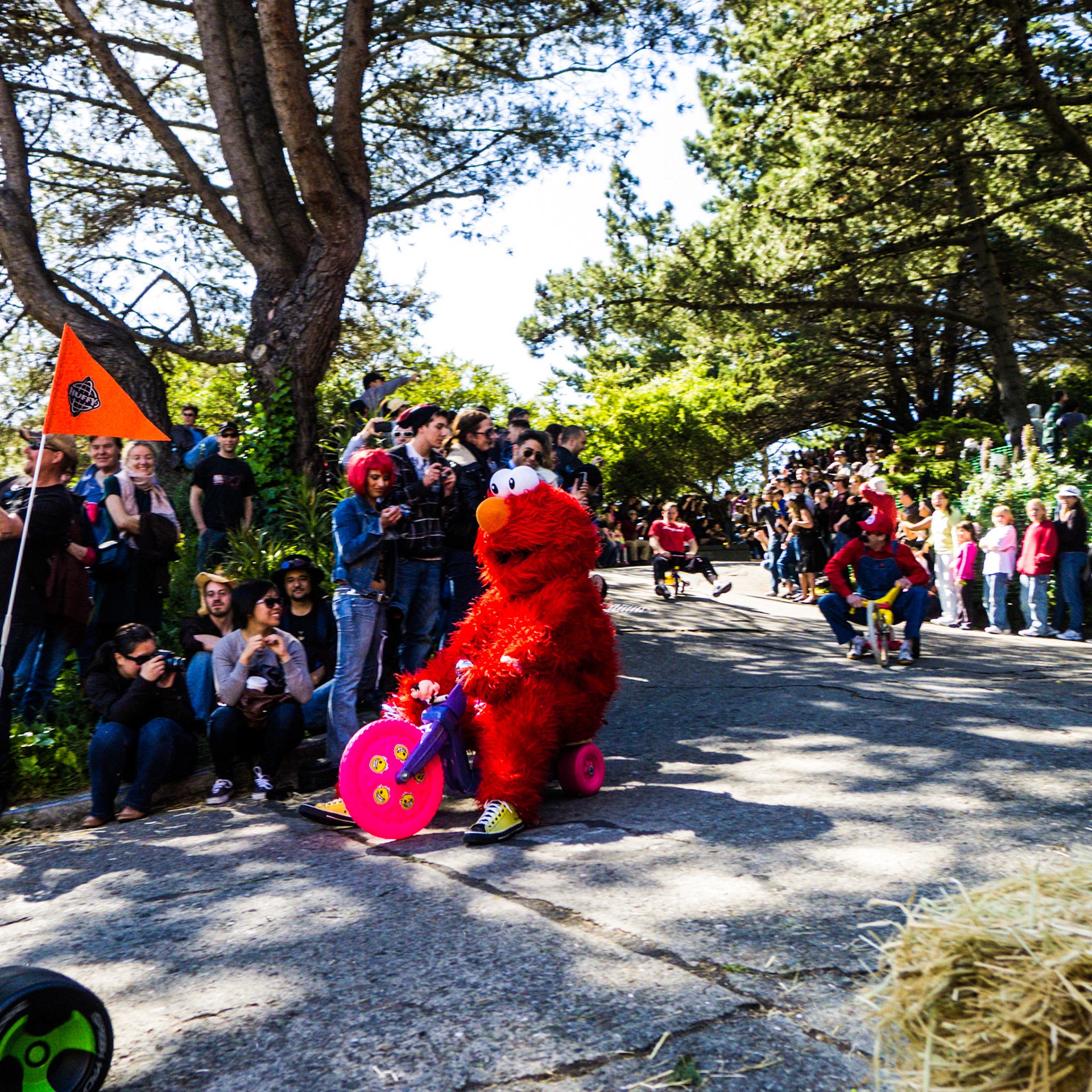 (Oba) Ohkba Ameziane-Hassani 2016 © obafkps@gmail.com ©  www.oba-photo.com