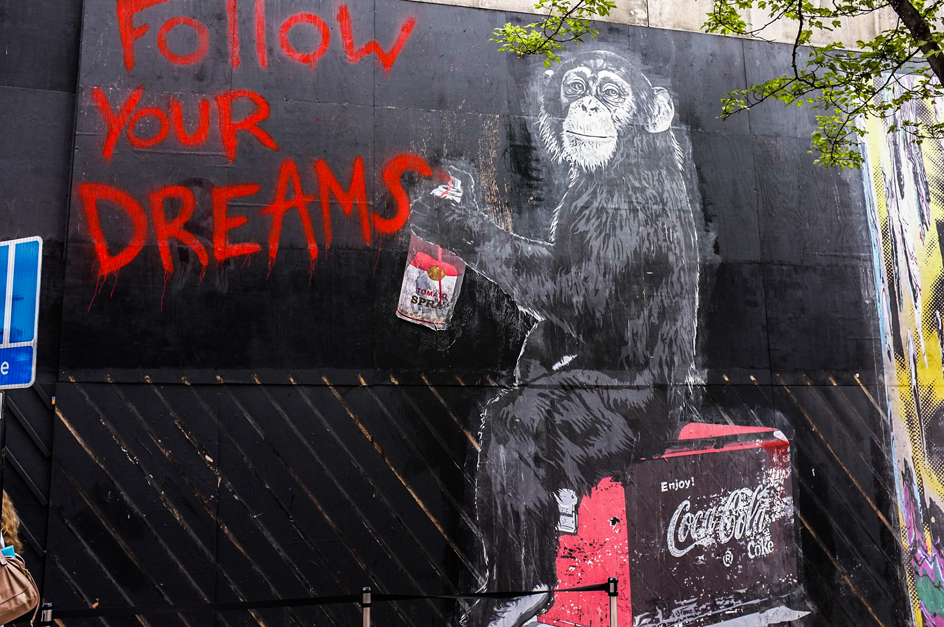 (Oba) Ohkba Ameziane-Hassani 2016 © obafkps@gmail.com ©  www.oba-photo.com