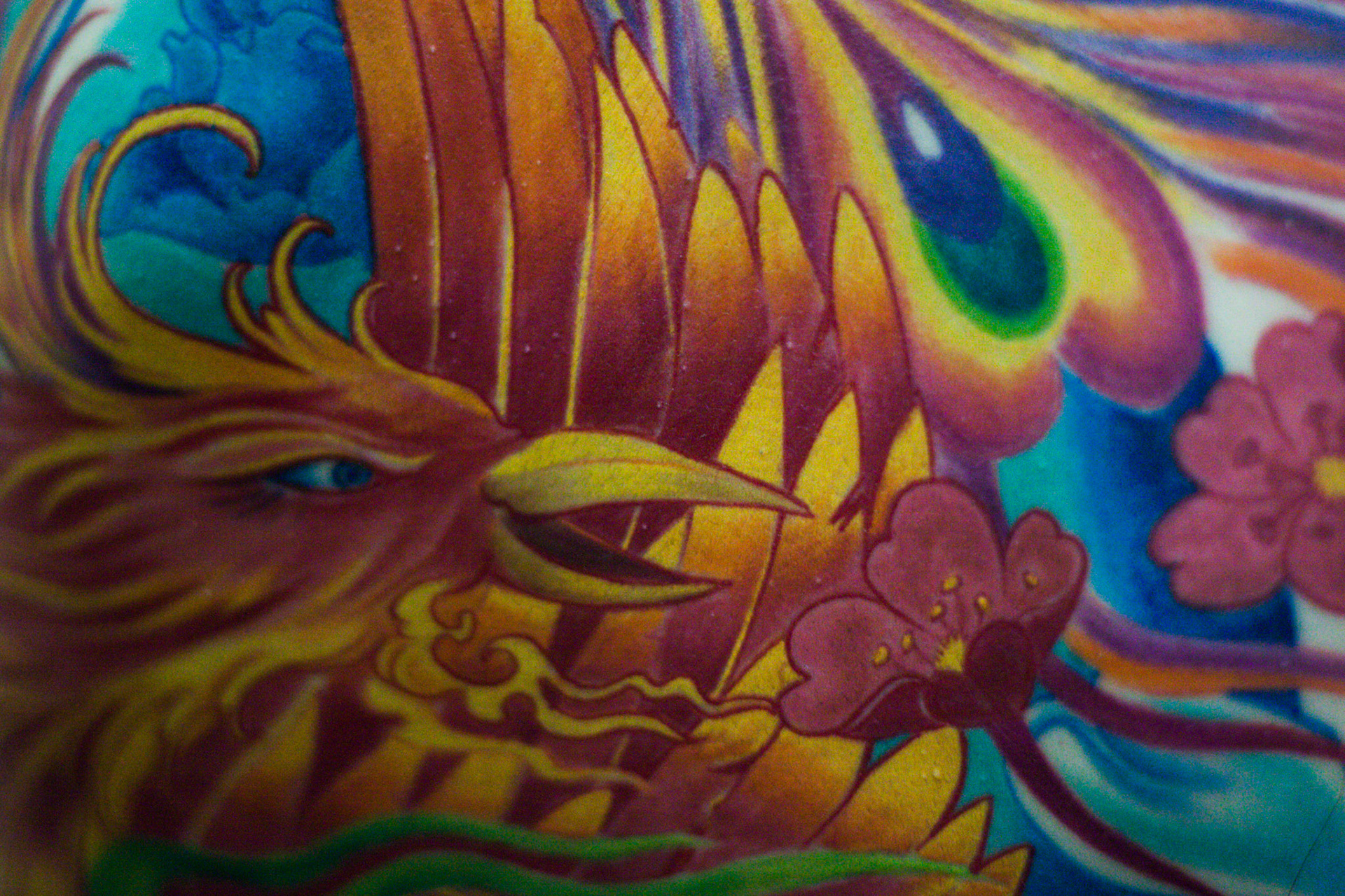 (Oba) Ohkba Ameziane-Hassani 2016 © obafkps@gmail.com ©  www.oba-photo.com