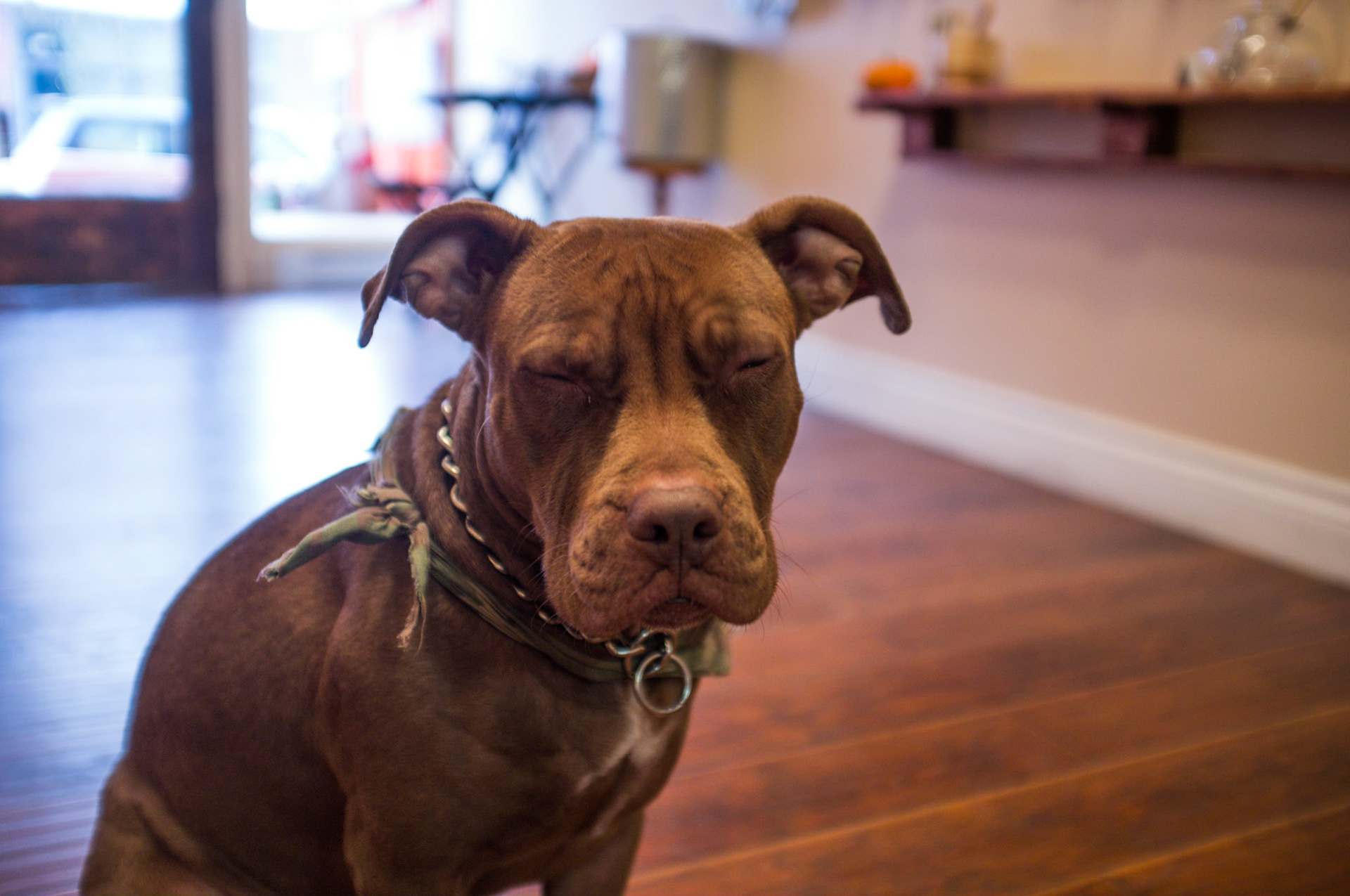 (Oba) Ohkba Ameziane-Hassani 2016 © obafkps@gmail.com ©  www.oba-photo.com