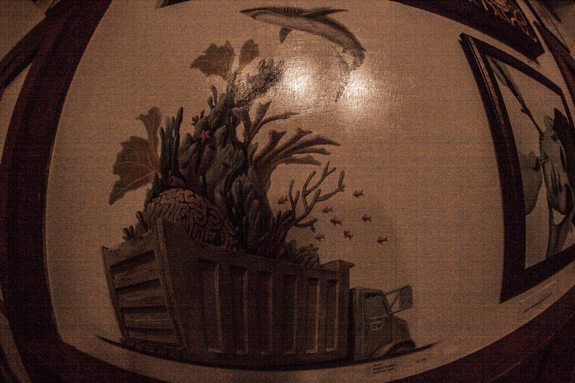 (Oba) Ohkba Ameziane-Hassani 2016 © obafkps@gmail.com ©  www.oba-photo.com