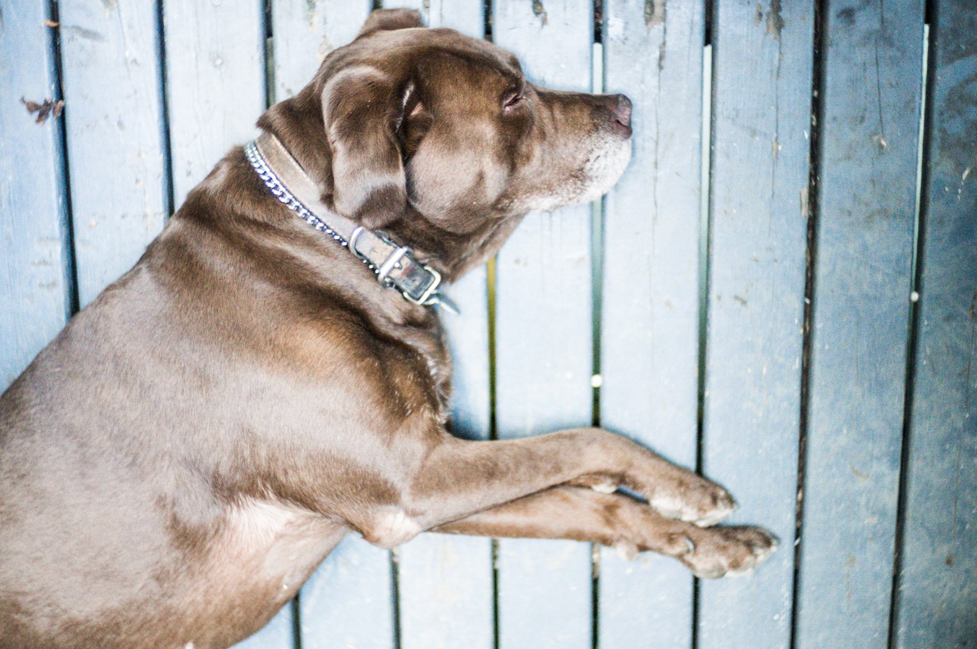 (Oba) Ohkba Ameziane-Hassani 2016 © obafkps@gmail.com ©  www.oba-photo.com